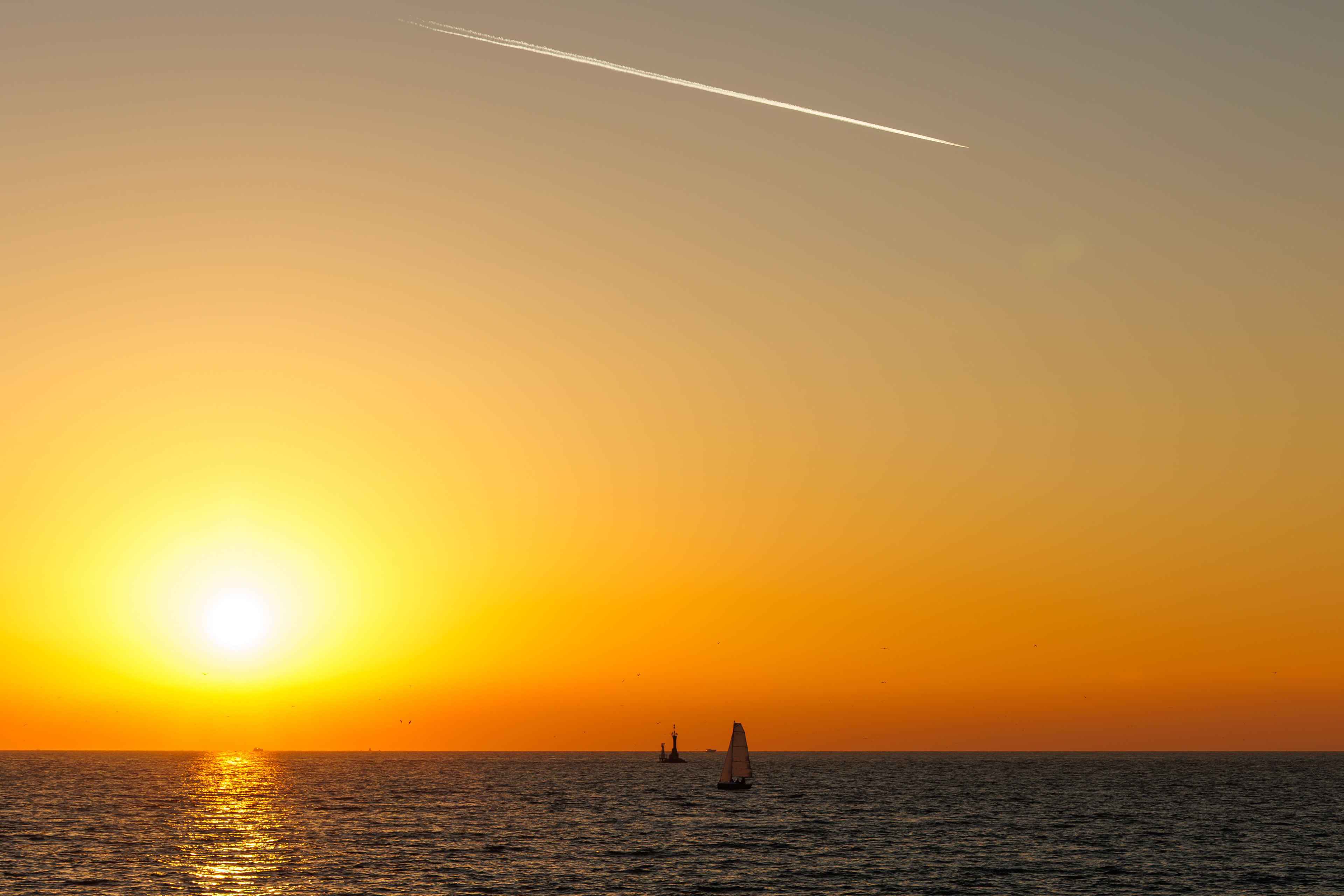 Belgesel - Documentary © All rights reserved. Tüm Hakları Saklıdır. Cem Kurtuluş, 2022-2026