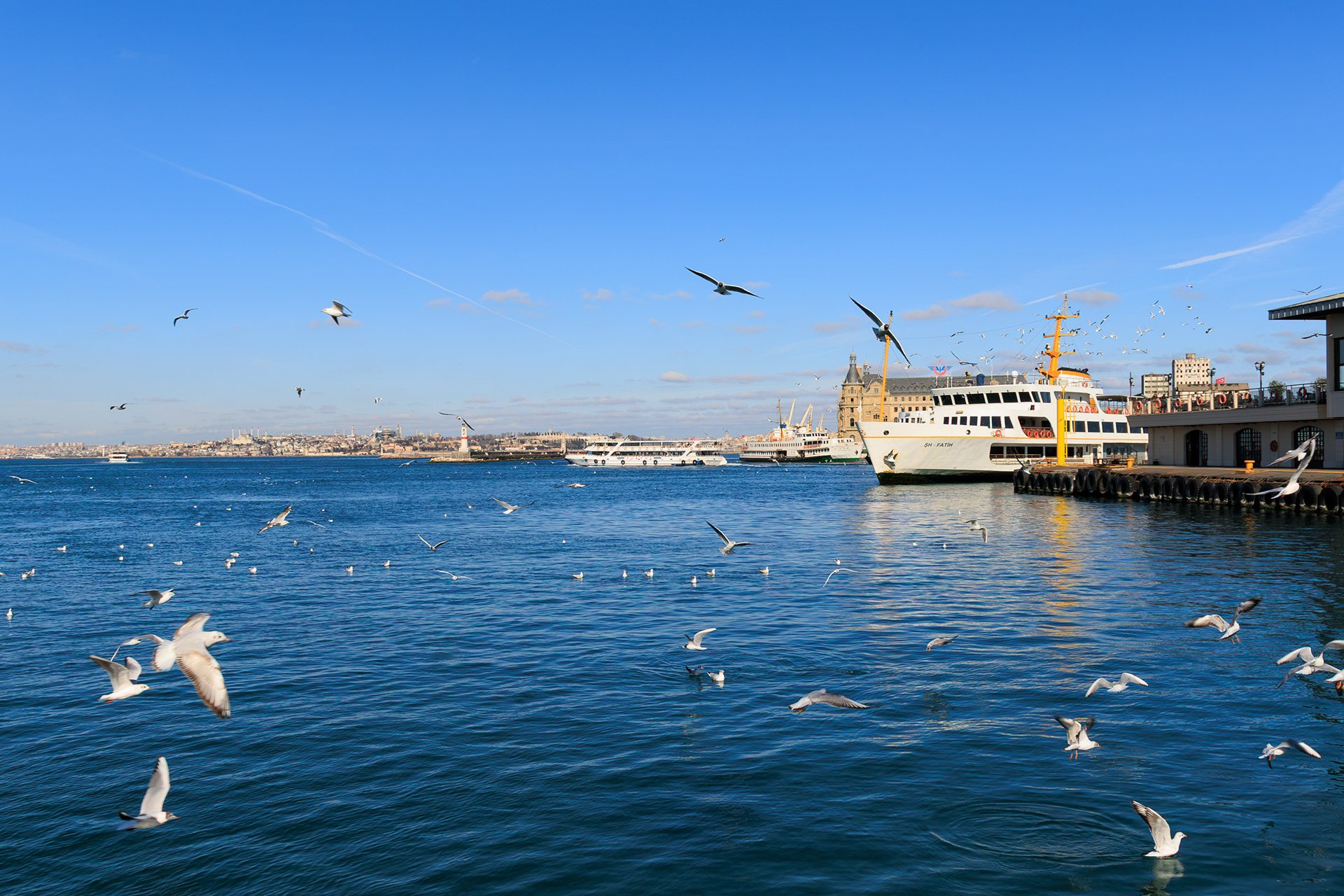 © Cem KURTULUŞ All rights reserved. Tüm Hakları Saklıdır.