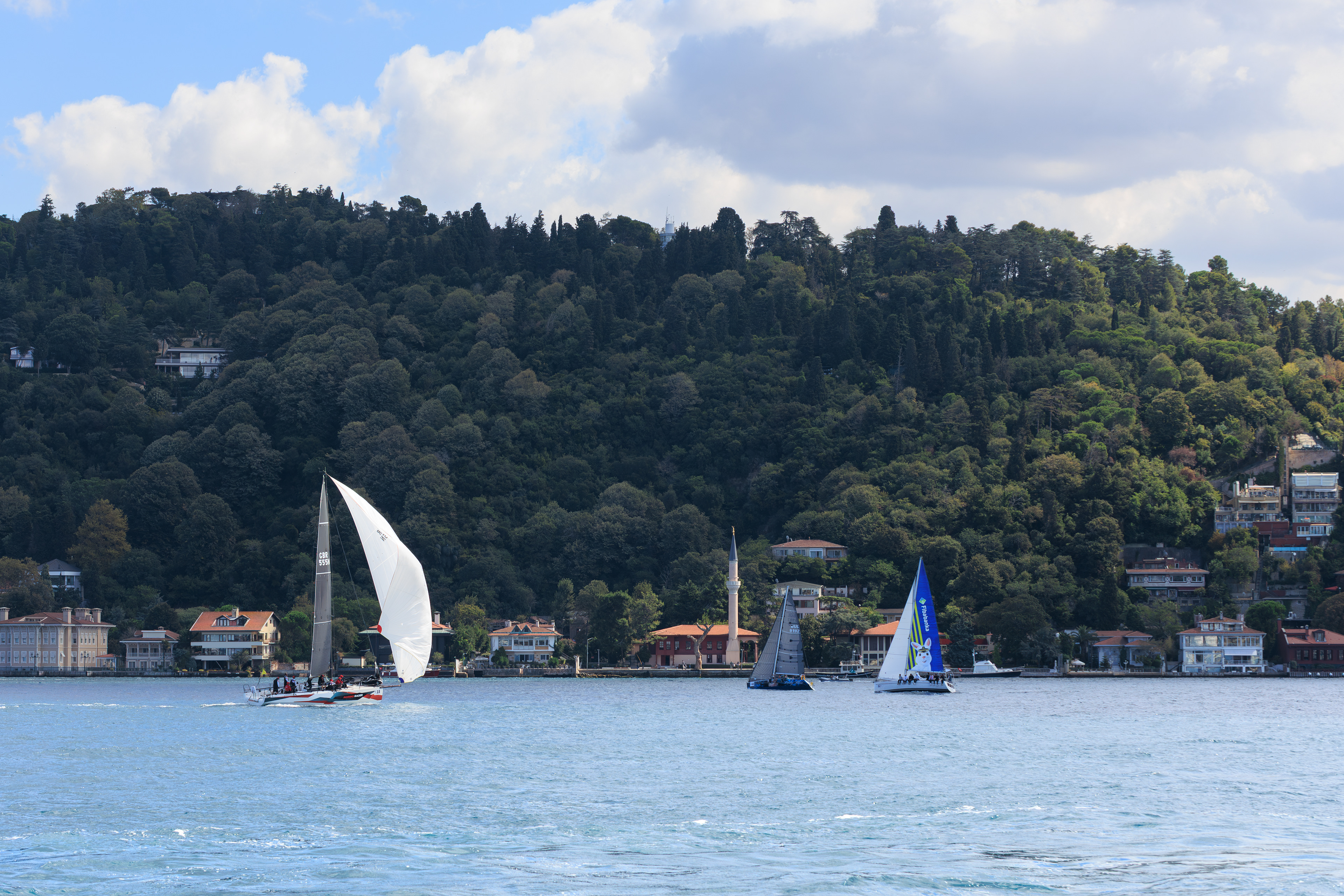 © All rights reserved. Tüm Hakları Saklıdır. Cem Kurtuluş, 2022-2026