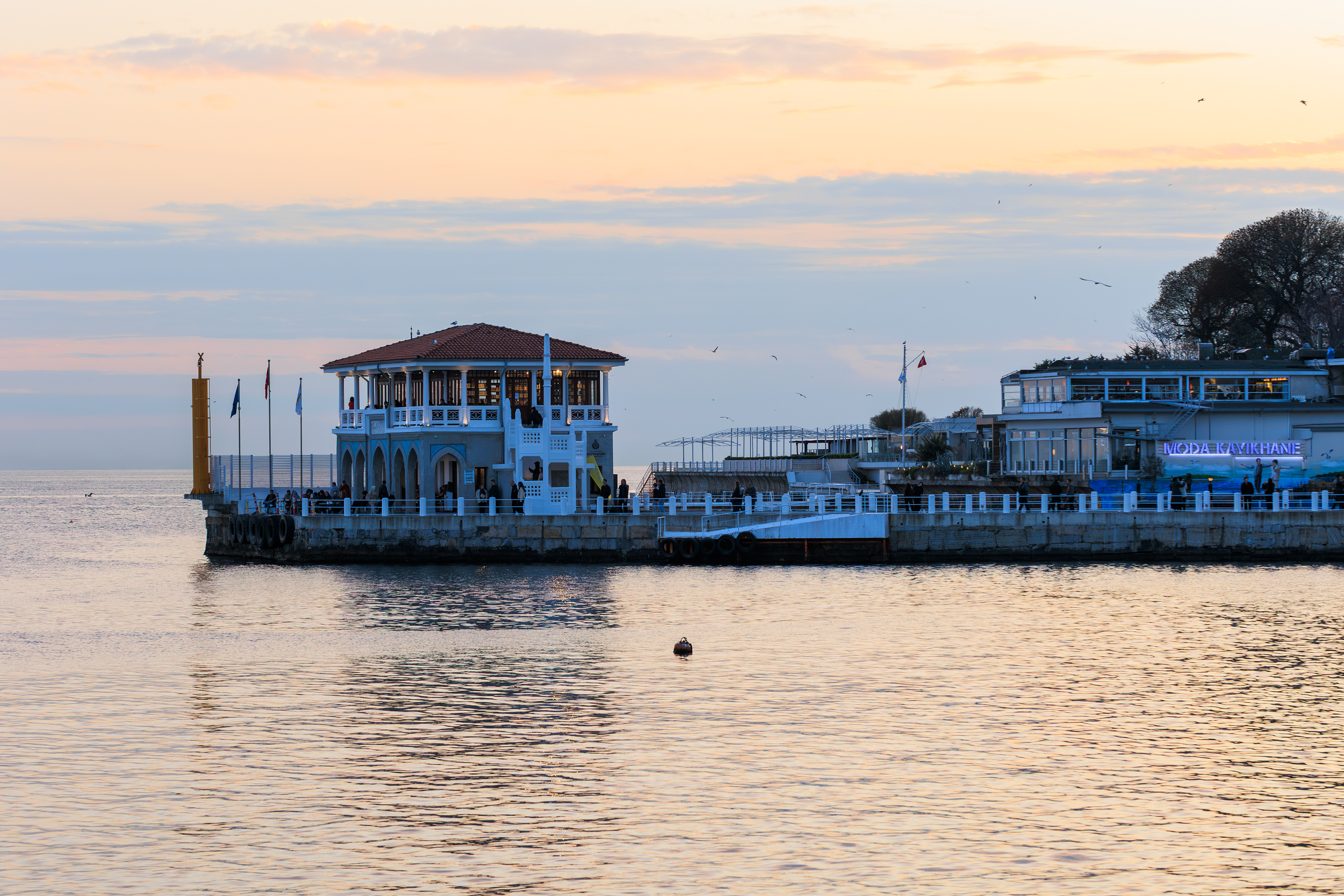 © Cem KURTULUŞ All rights reserved. Tüm Hakları Saklıdır.