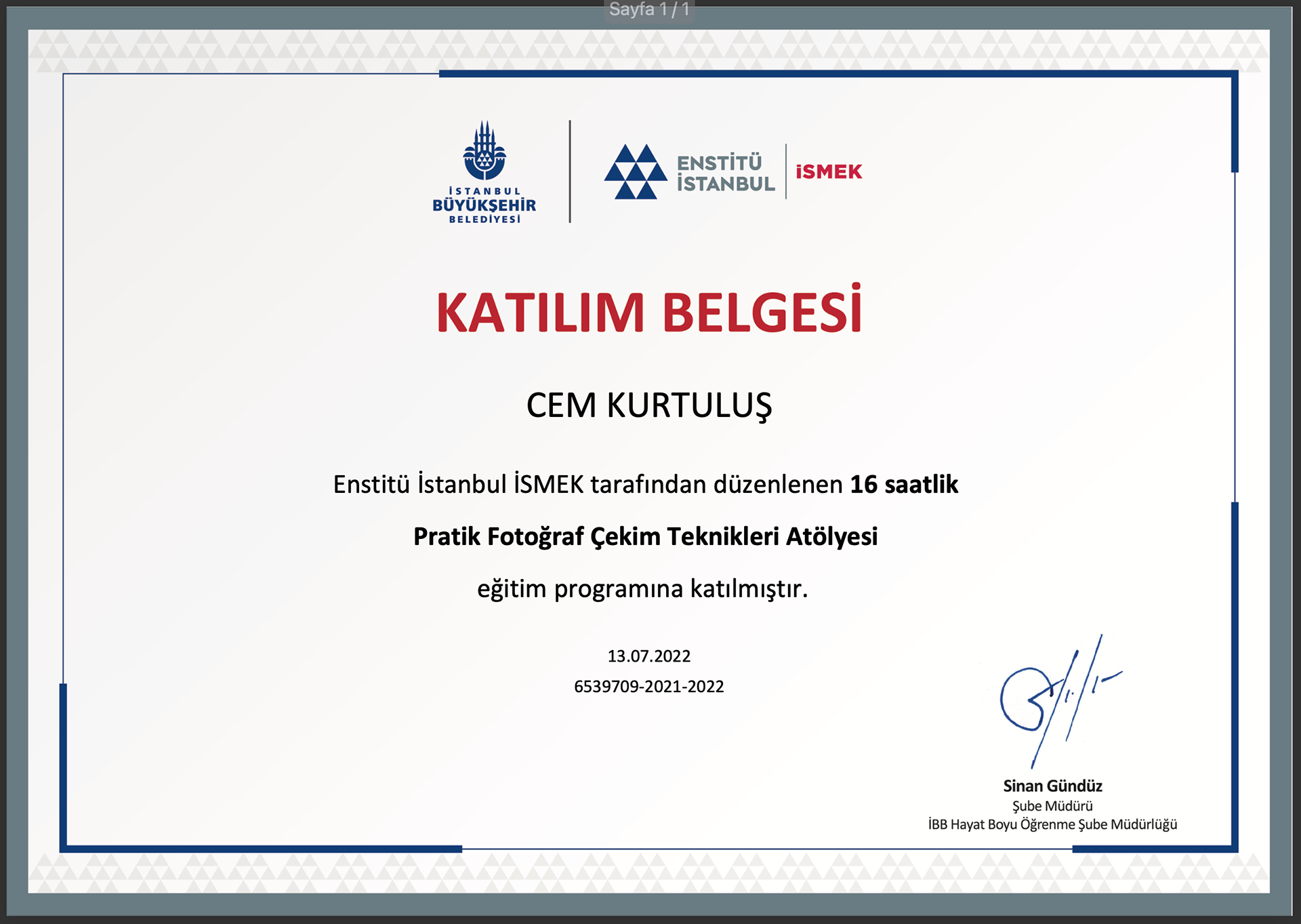 © All rights reserved. Tüm Hakları Saklıdır. Cem Kurtuluş, 2022-2025