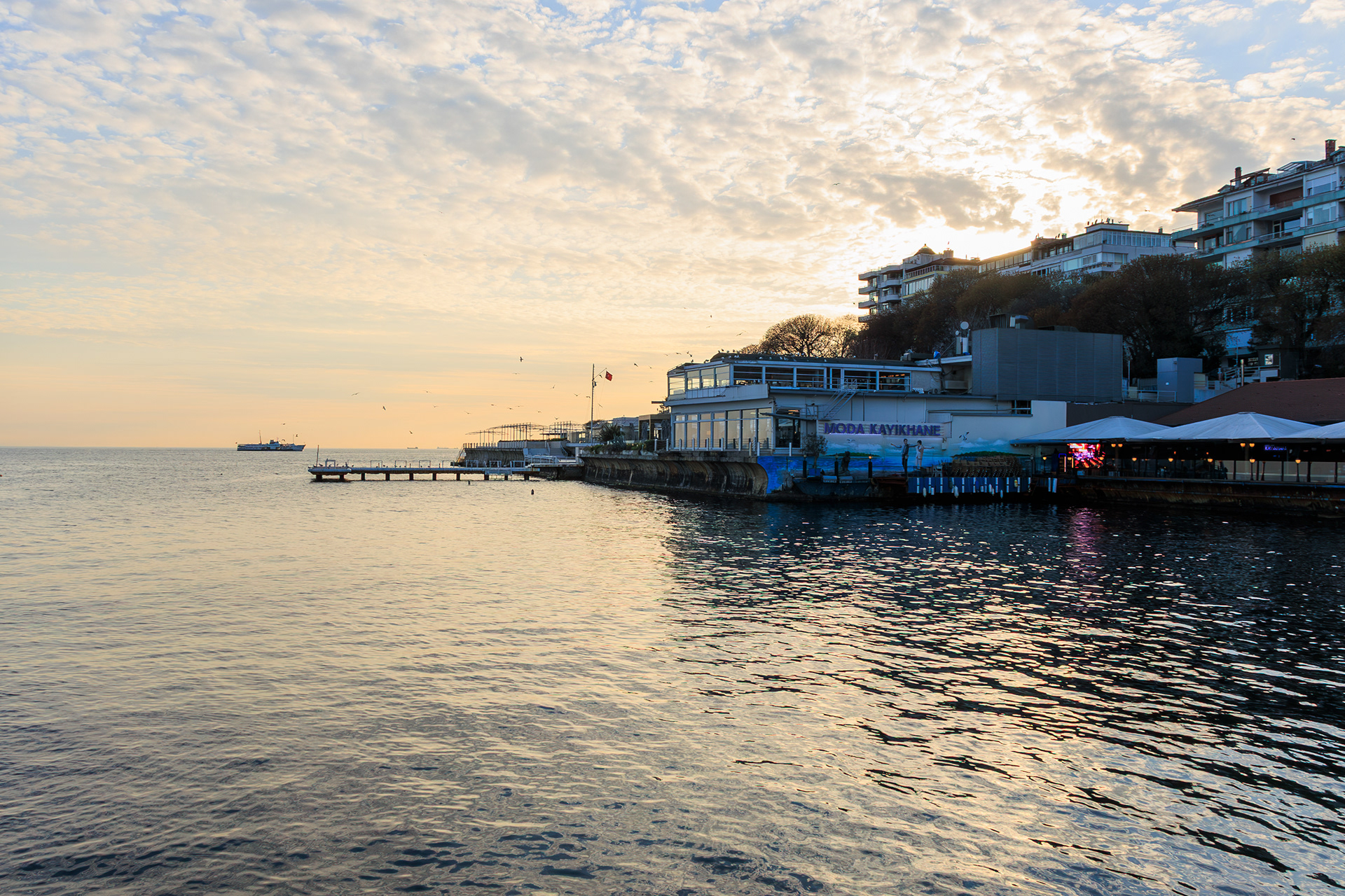 © Cem KURTULUŞ All rights reserved. Tüm Hakları Saklıdır.