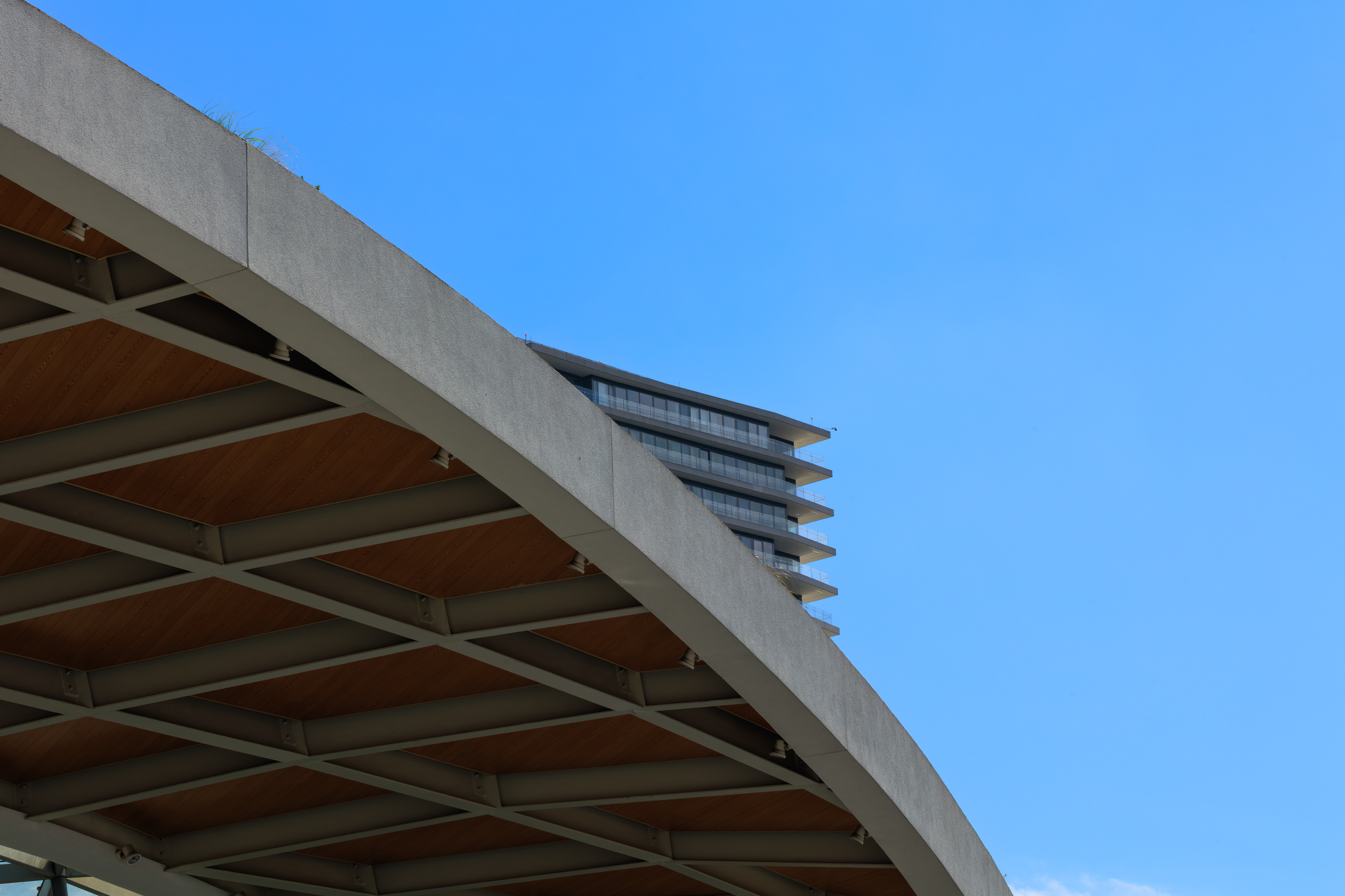 © All rights reserved. Tüm Hakları Saklıdır. Cem Kurtuluş, 2022-2026