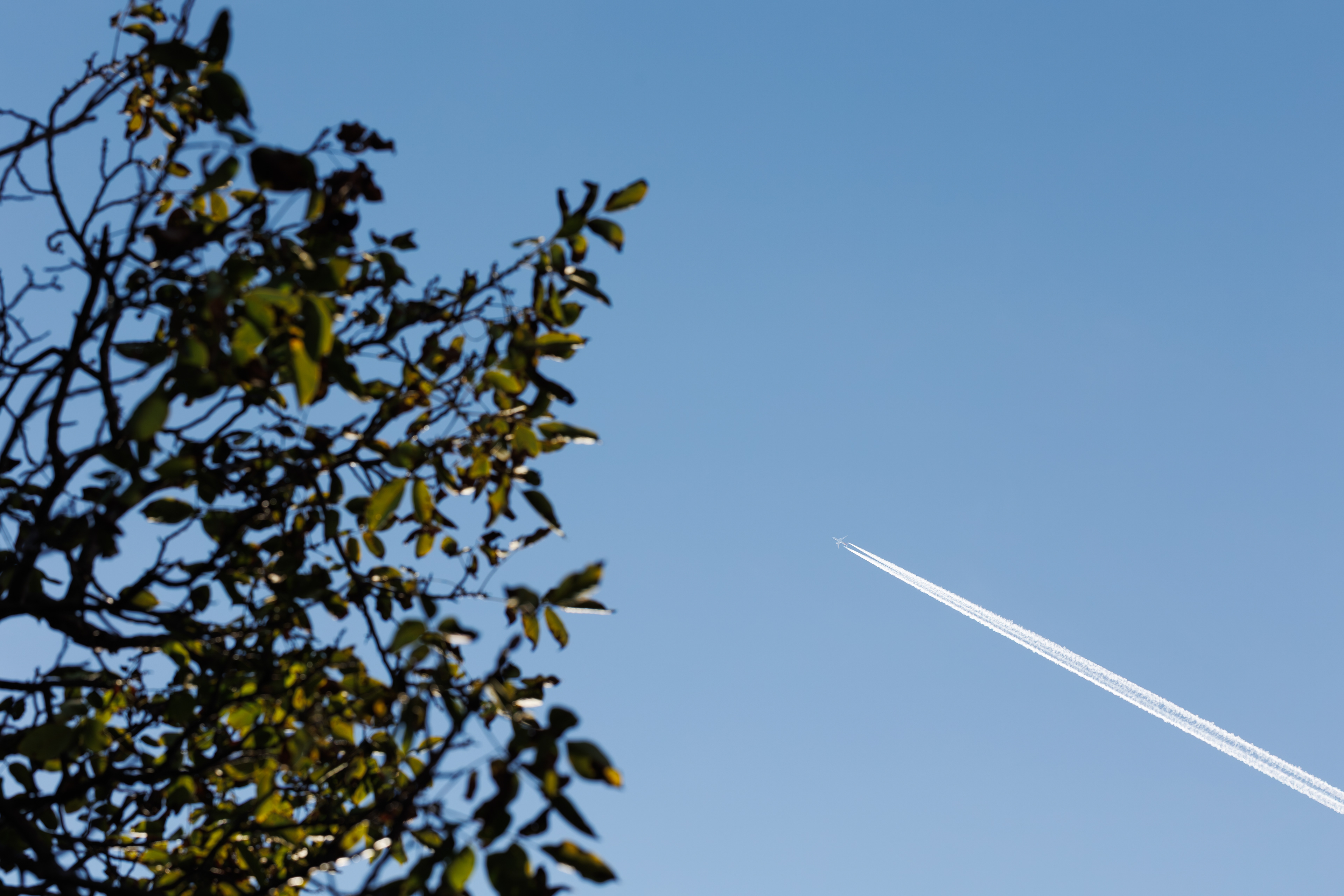 © All rights reserved. Tüm Hakları Saklıdır. Cem Kurtuluş, 2022-2026