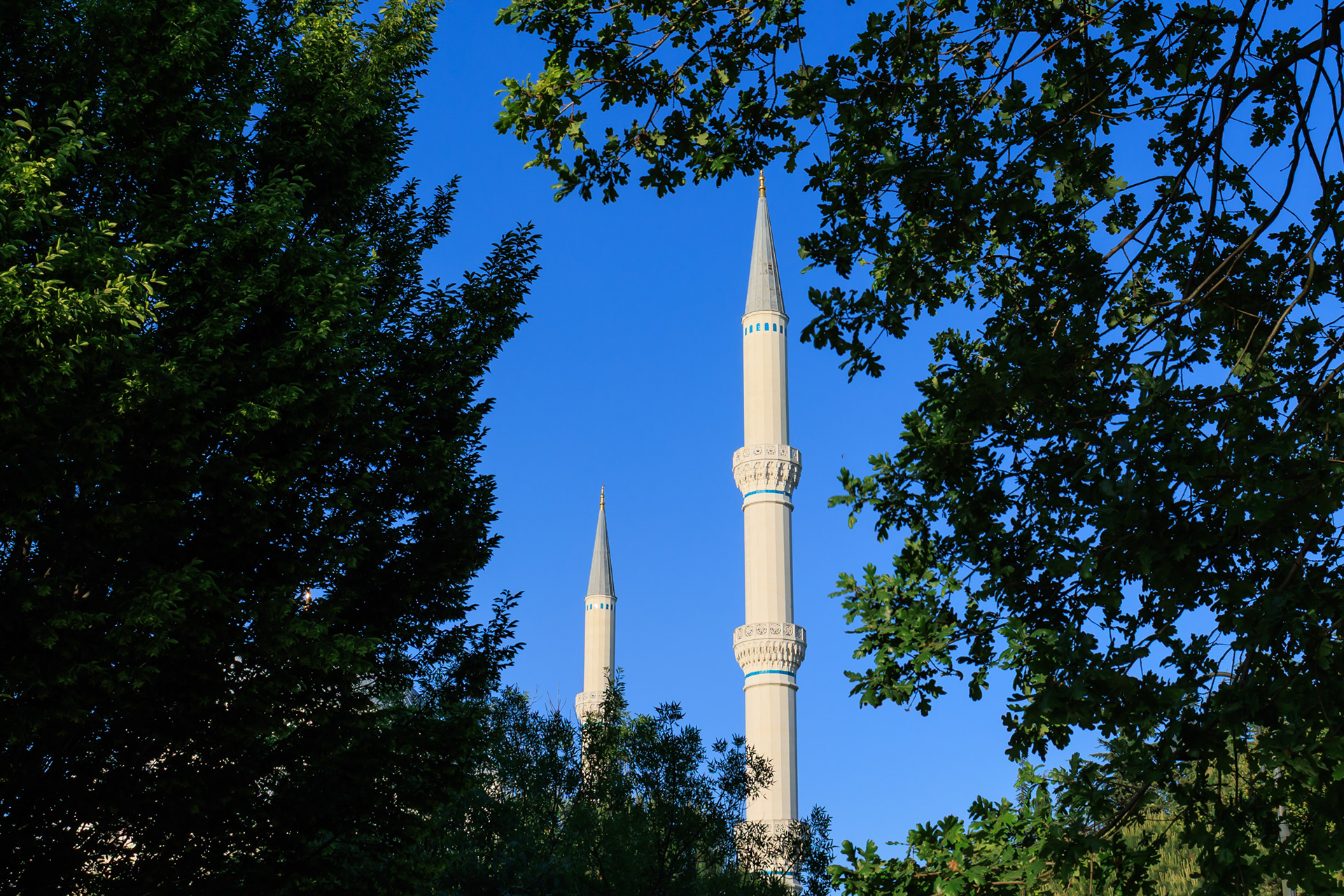 © Cem KURTULUŞ All rights reserved. Tüm Hakları Saklıdır.