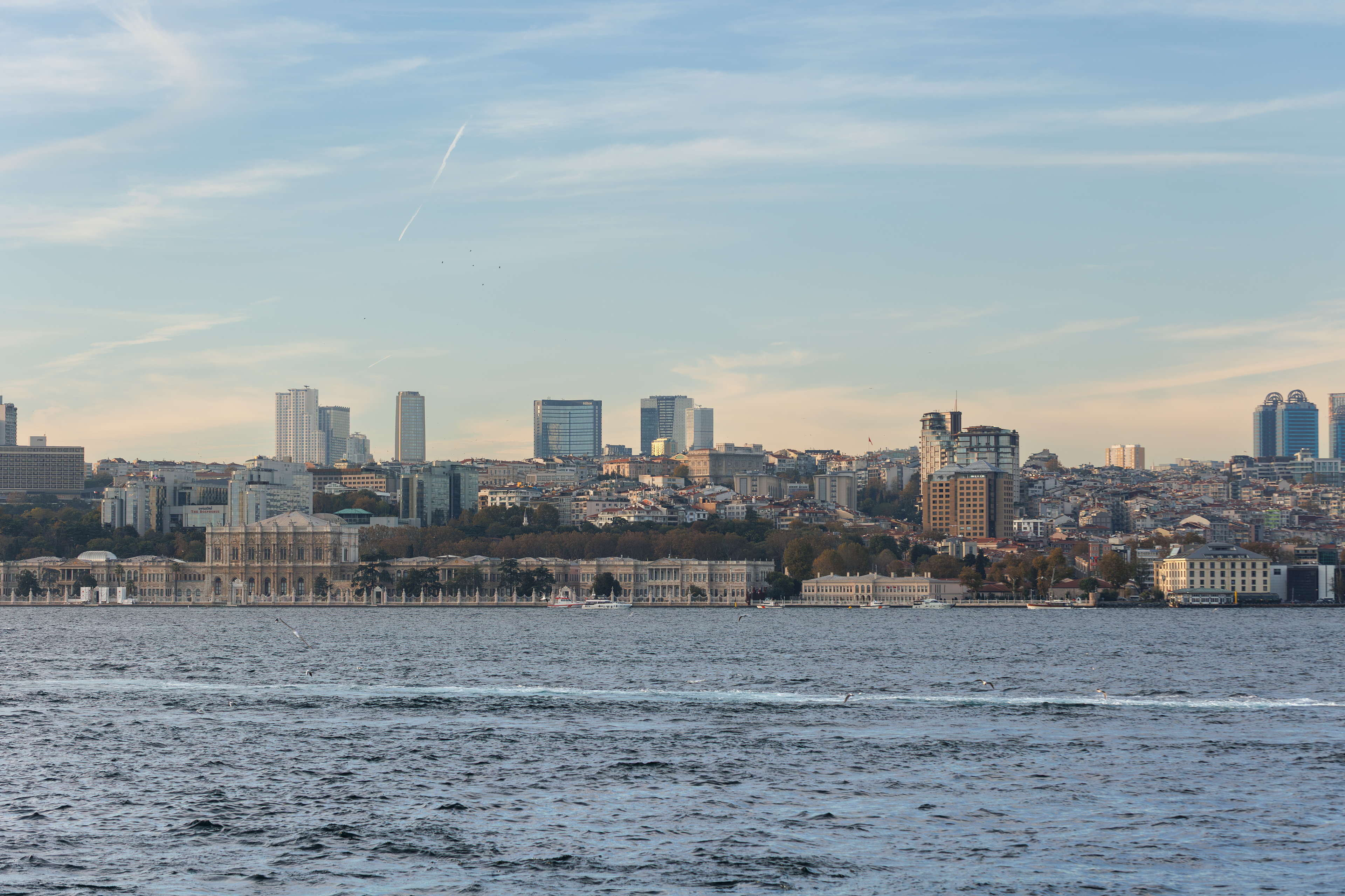 © All rights reserved. Tüm Hakları Saklıdır. Cem Kurtuluş, 2022-2026