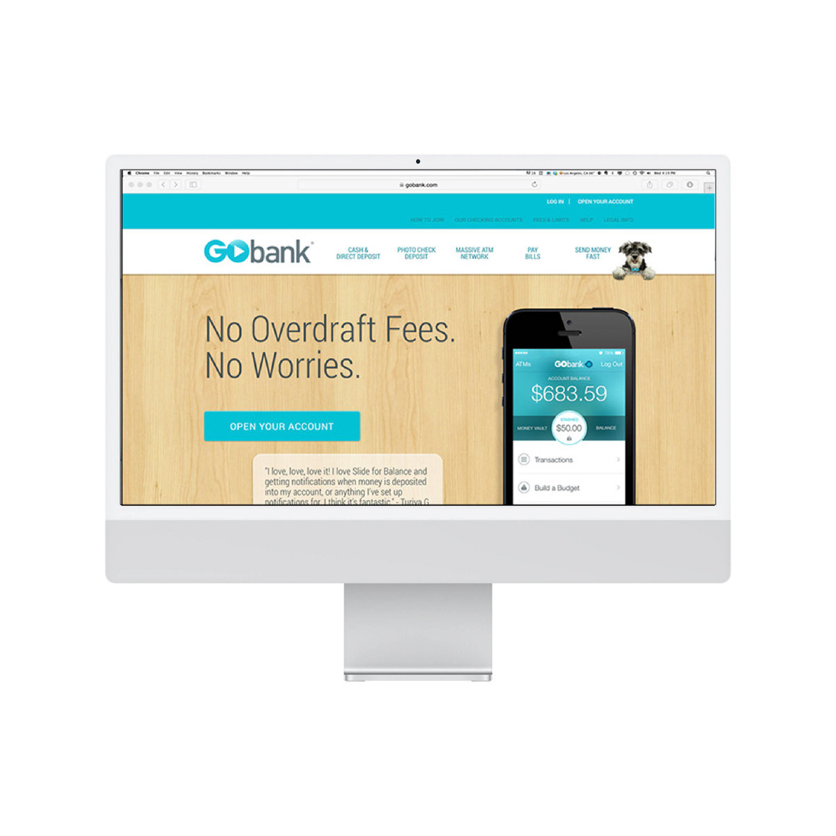 GoBank Website