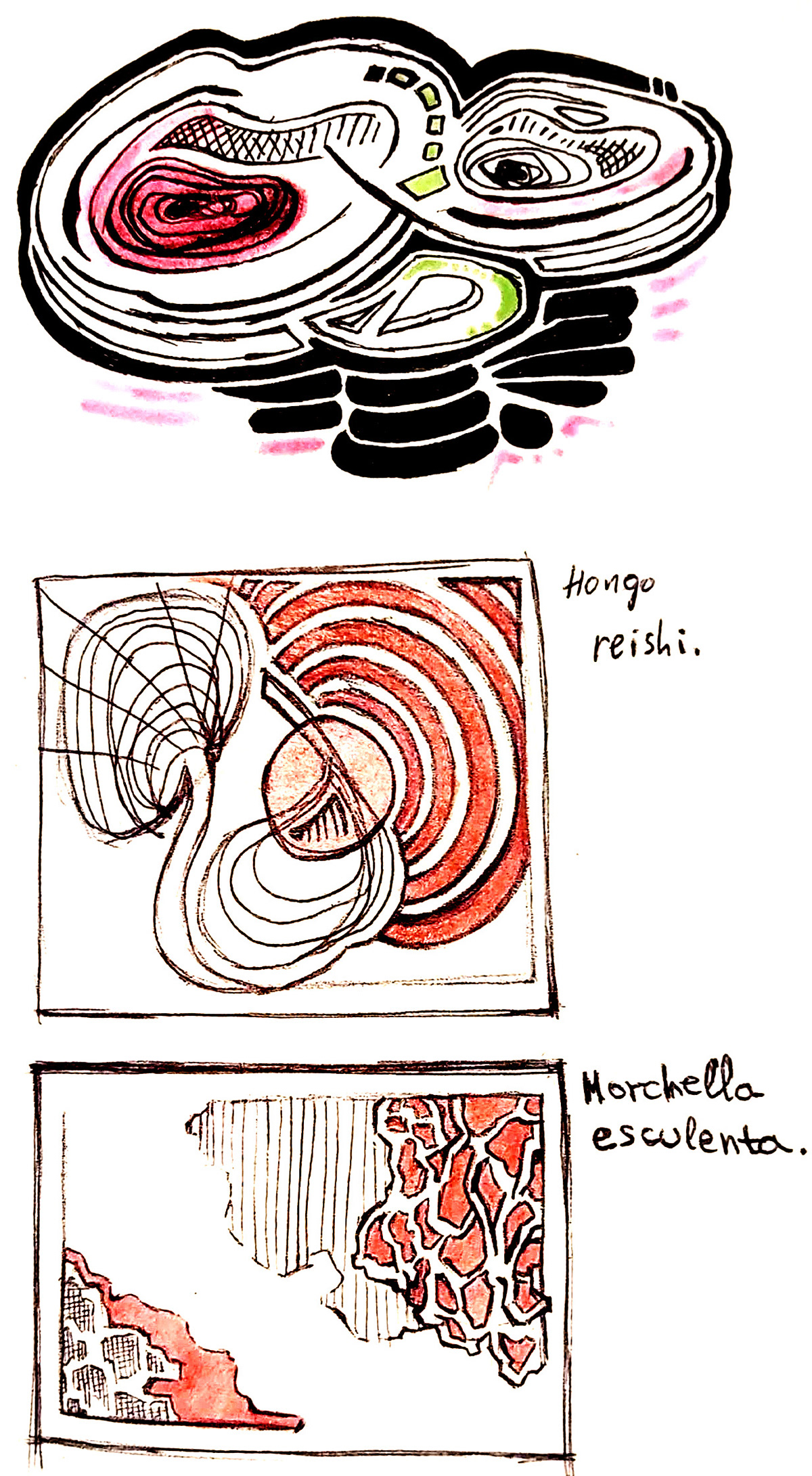 Bocetos tarjetas.