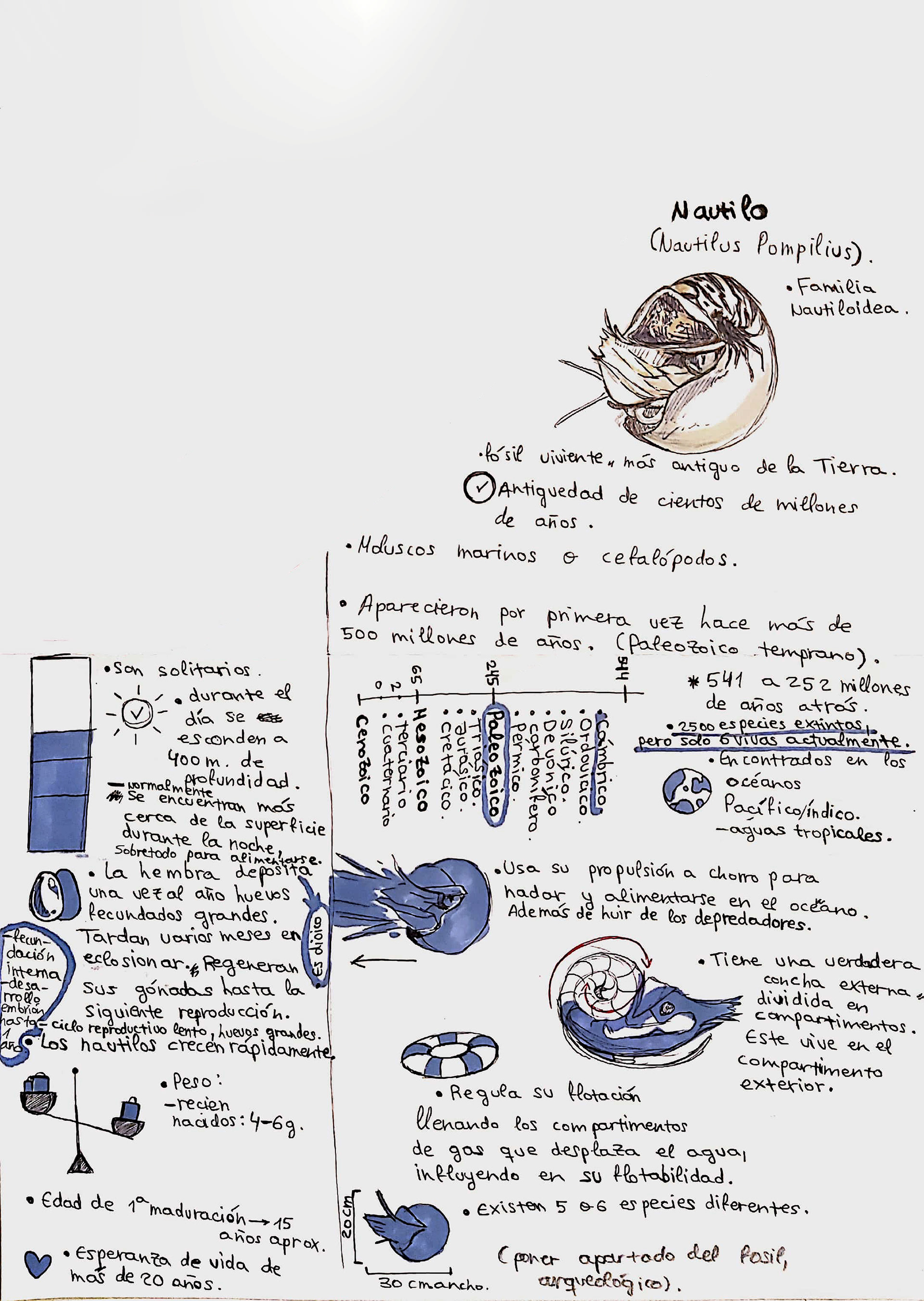 Sketchnoting previo.
