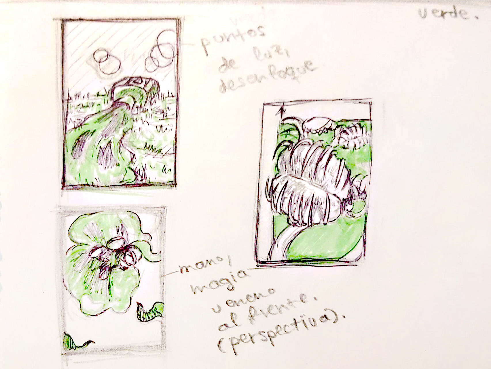 Bocetos de la carta verde.