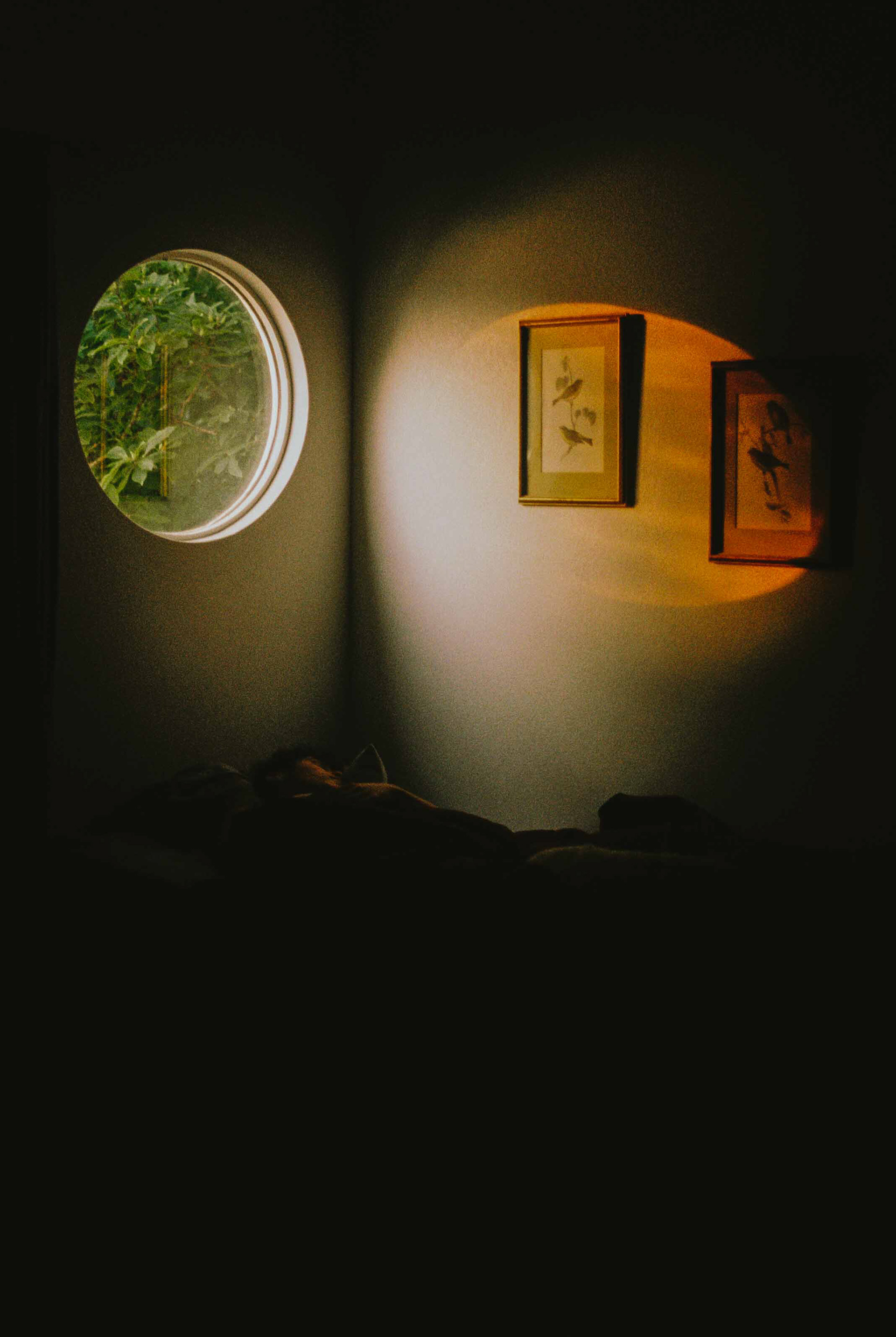 Where The Shadows Hide – After failing to expose a sunset in Yosemite correctly, this early sunrise photo was my first successful intentional exposure on Kodak Colorplus 200. Compared to my other images, where I had to expose the entire scene correctly, I wanted to emphasize the contrast between the early morning light casting through the window and the lingering darkness of night. I also framed the composition so both the outdoors and indoors would tell a story and interact with one another.