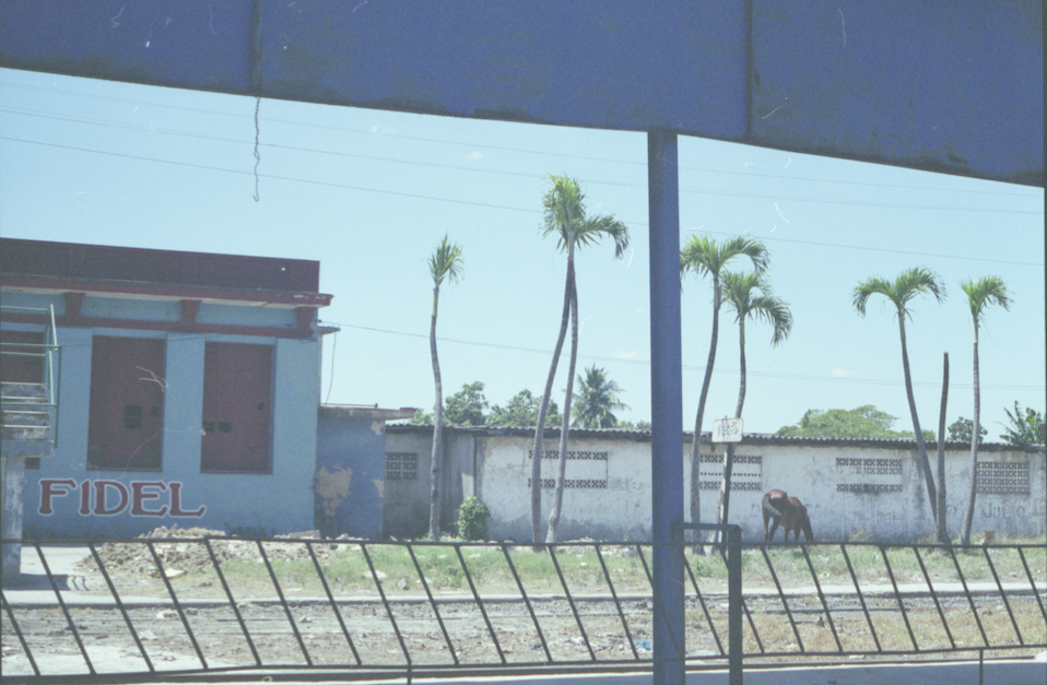CABALLO, 35mm Kodak, CUBA, 2019