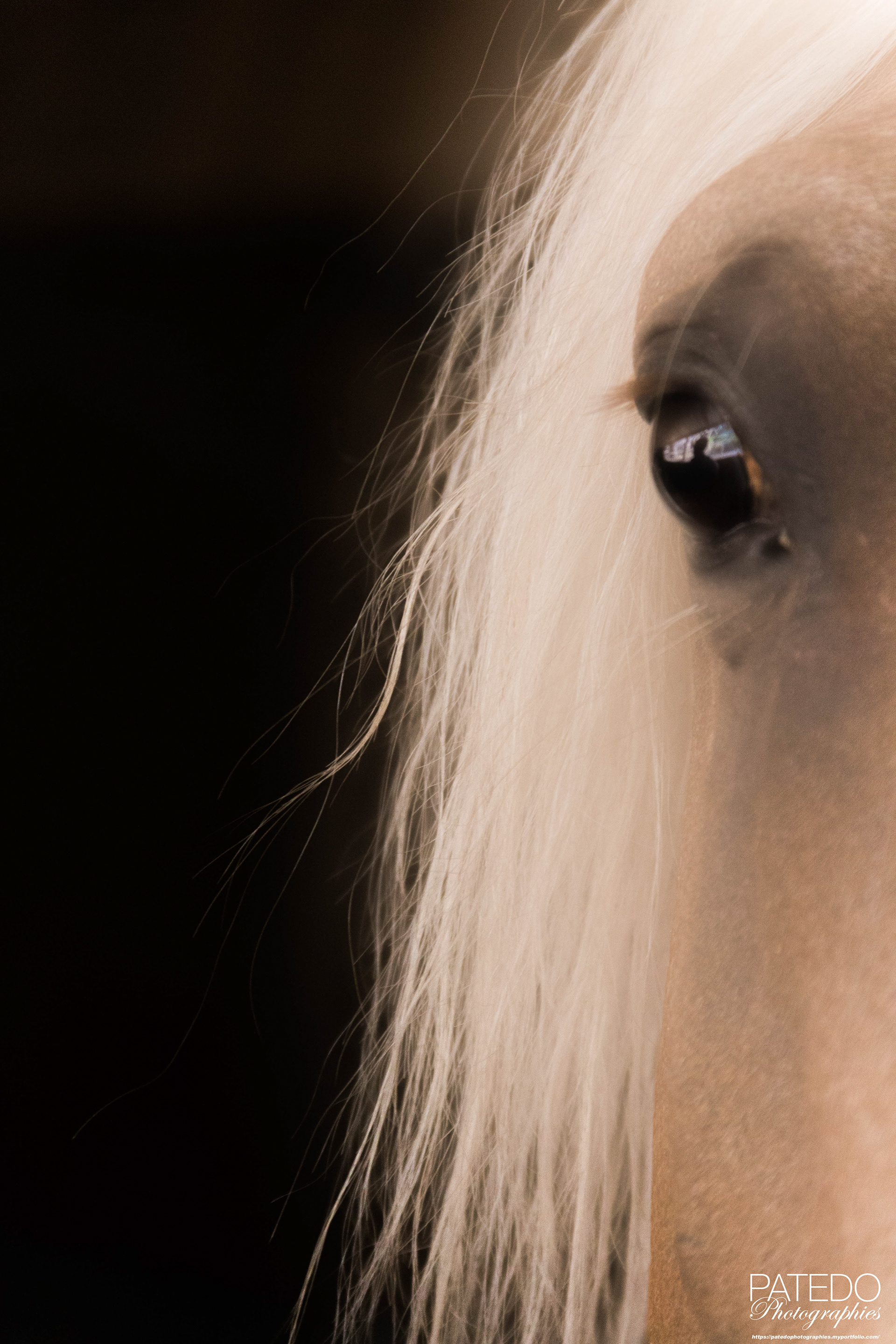 Regard