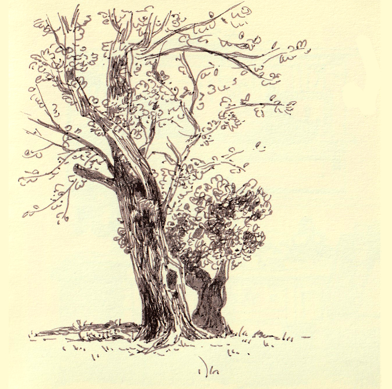 Sketchbook