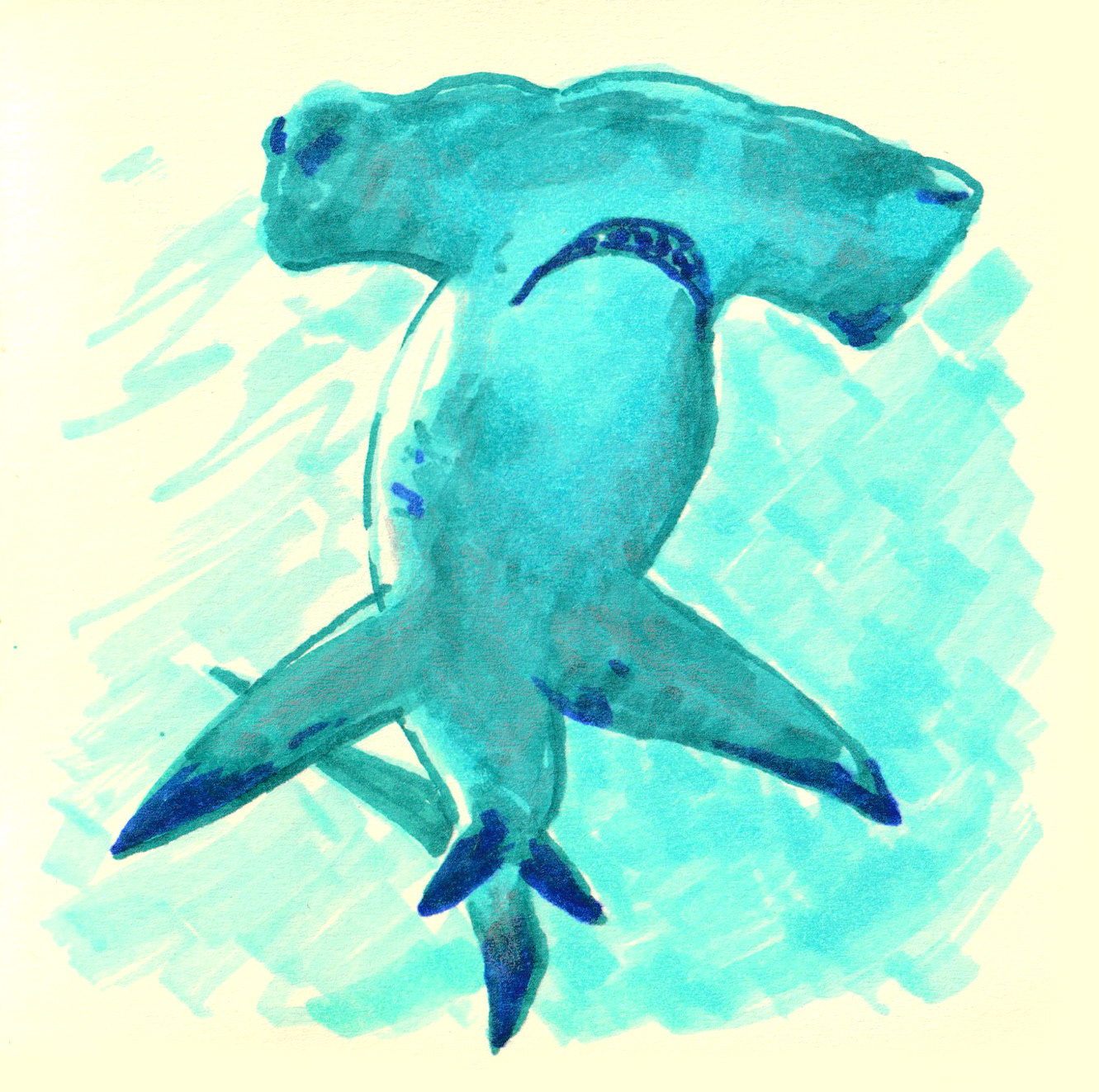 Sketchbook