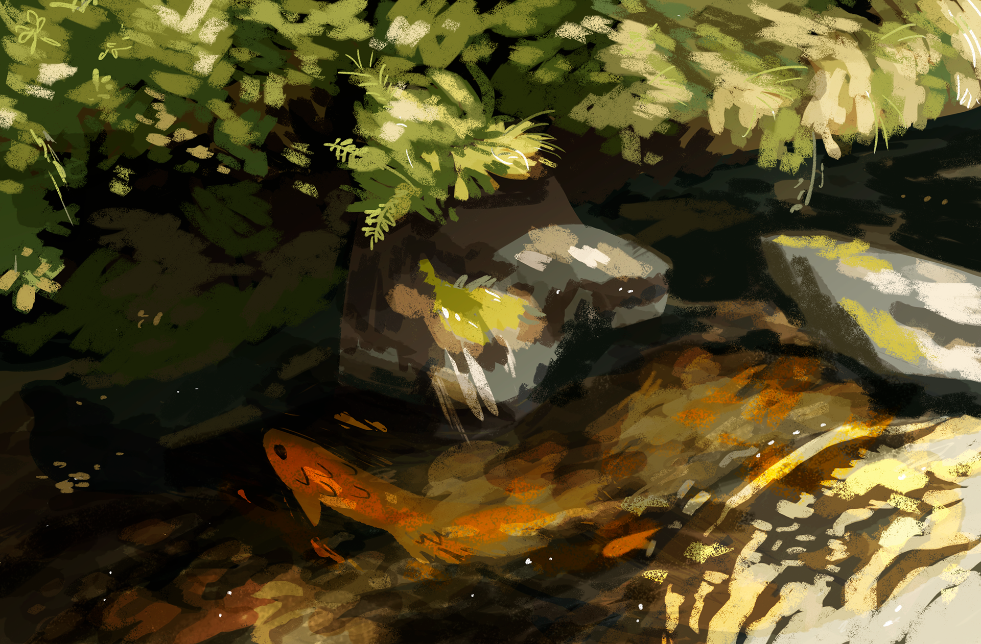 Color study