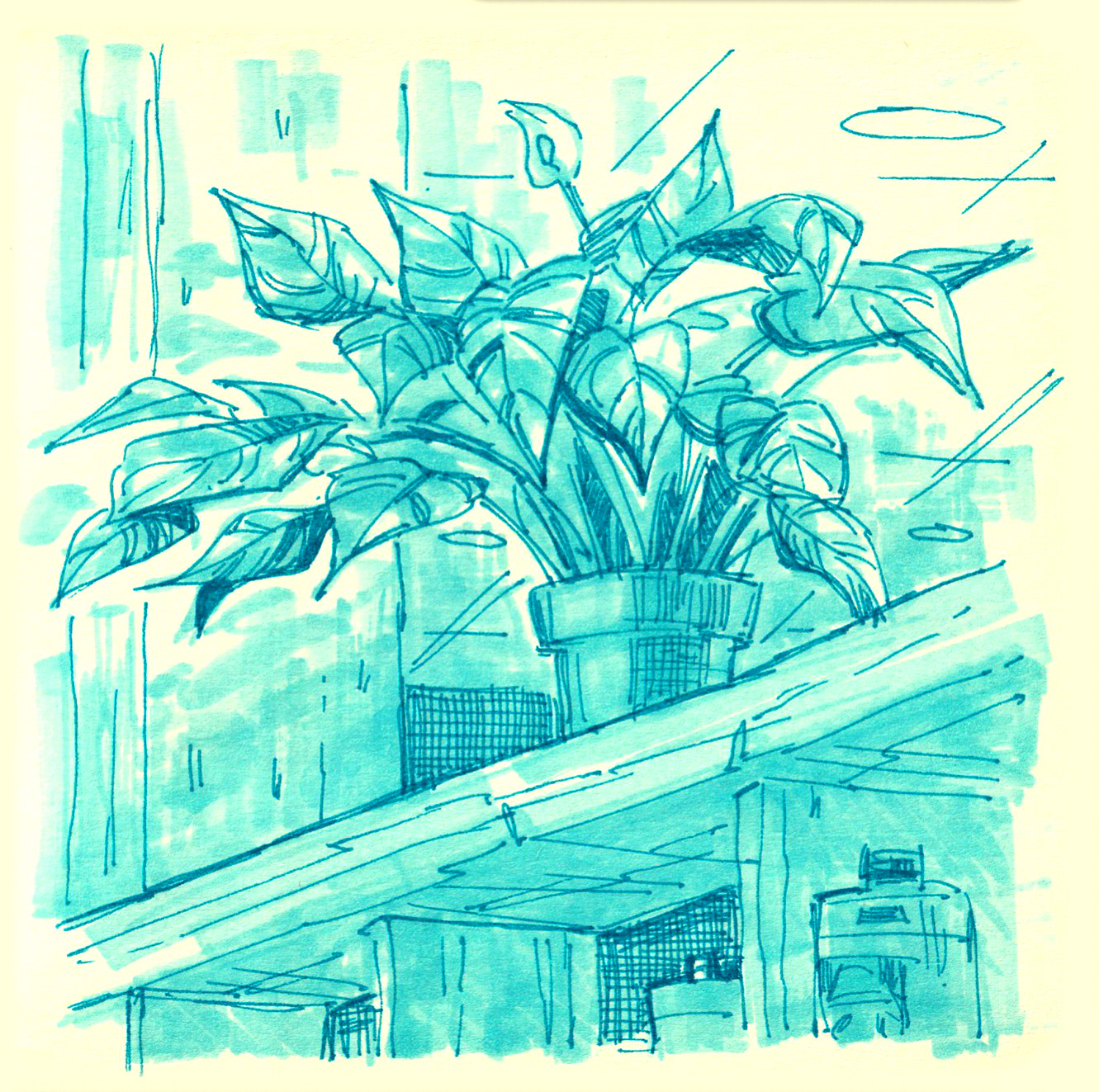 Sketchbook