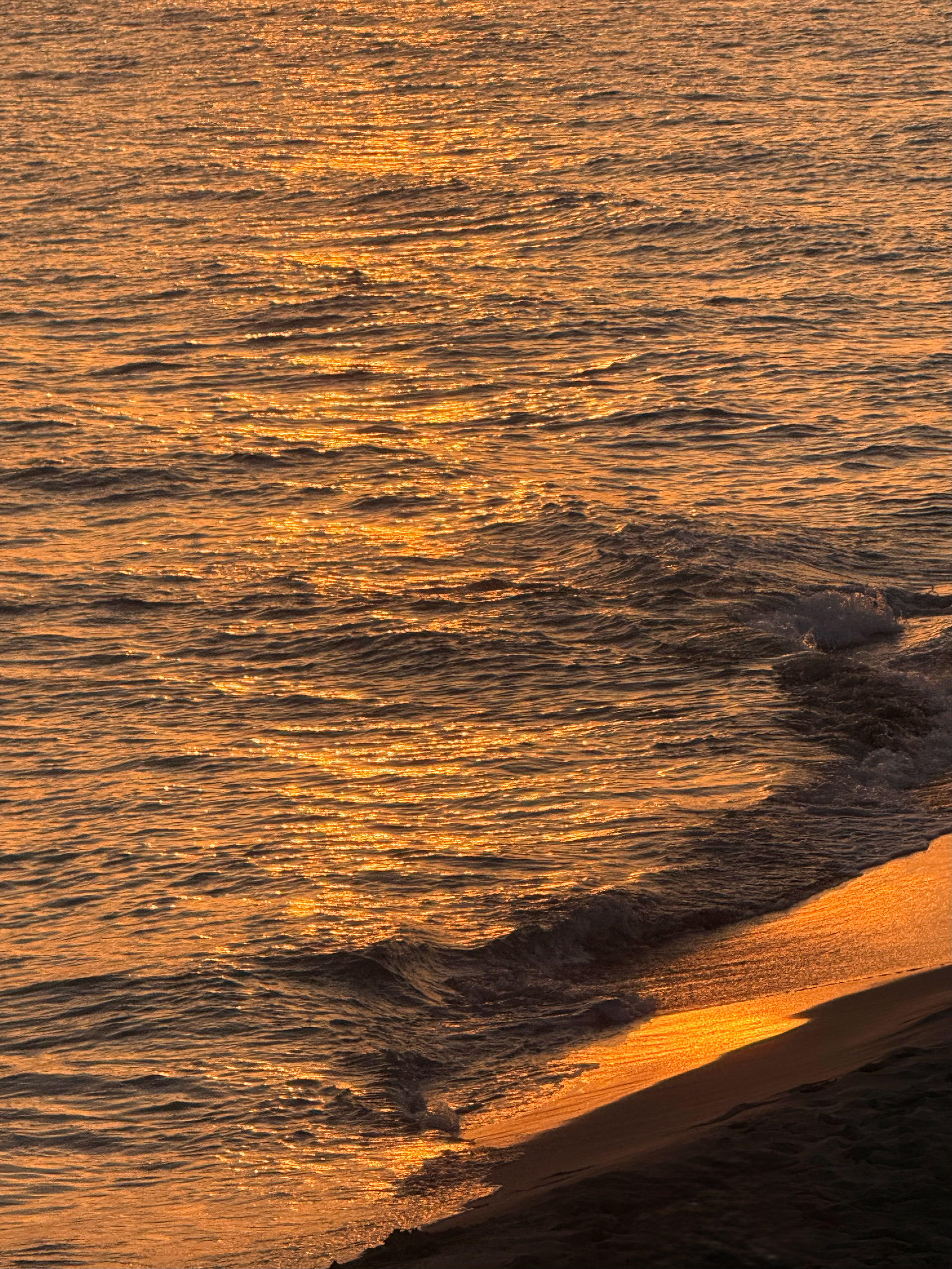 formentera, 2025