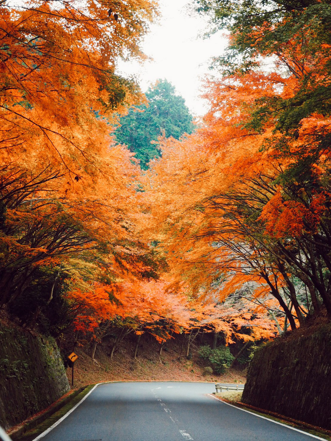 滋賀 比叡山