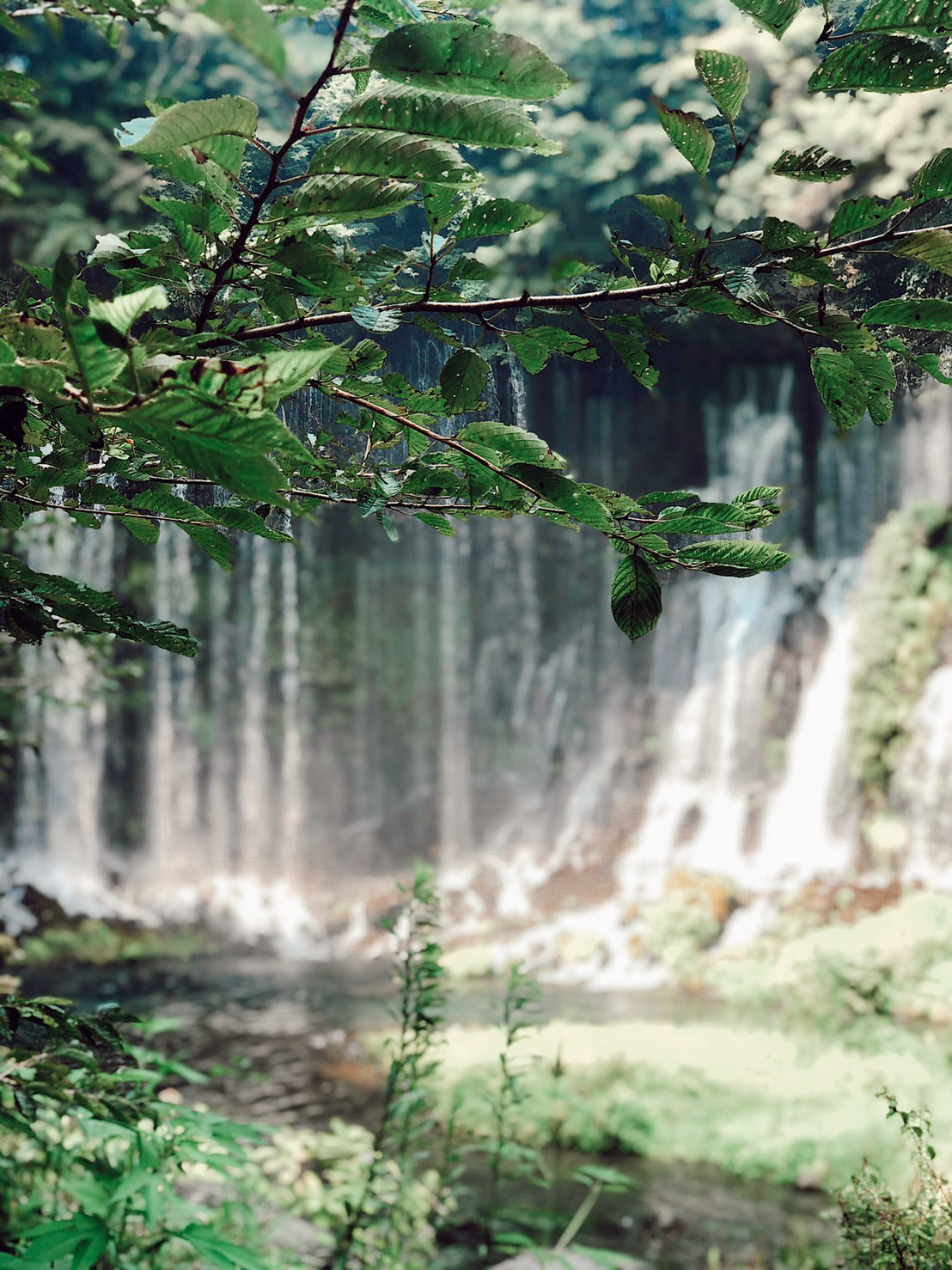 静岡