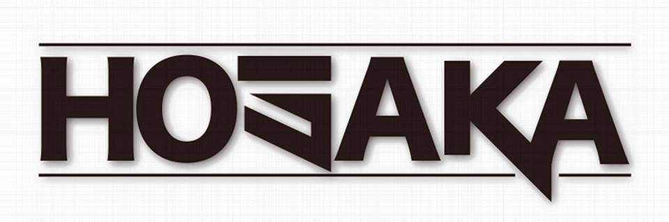 DJ HOSAKA LOGO