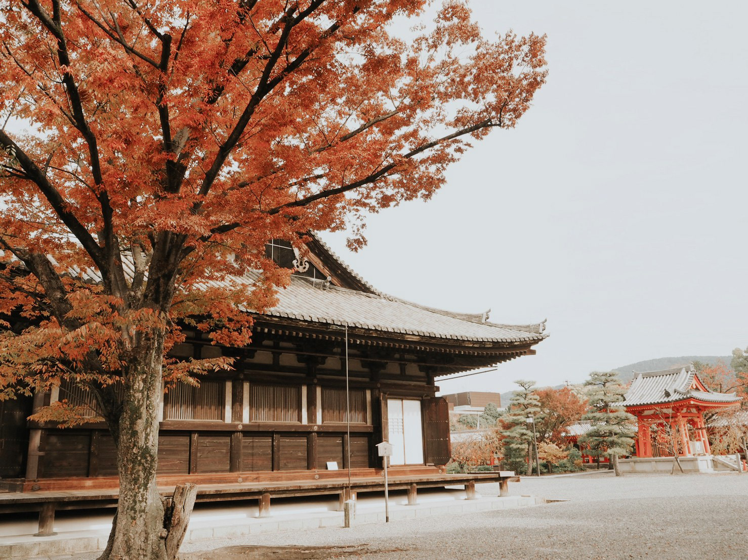京都