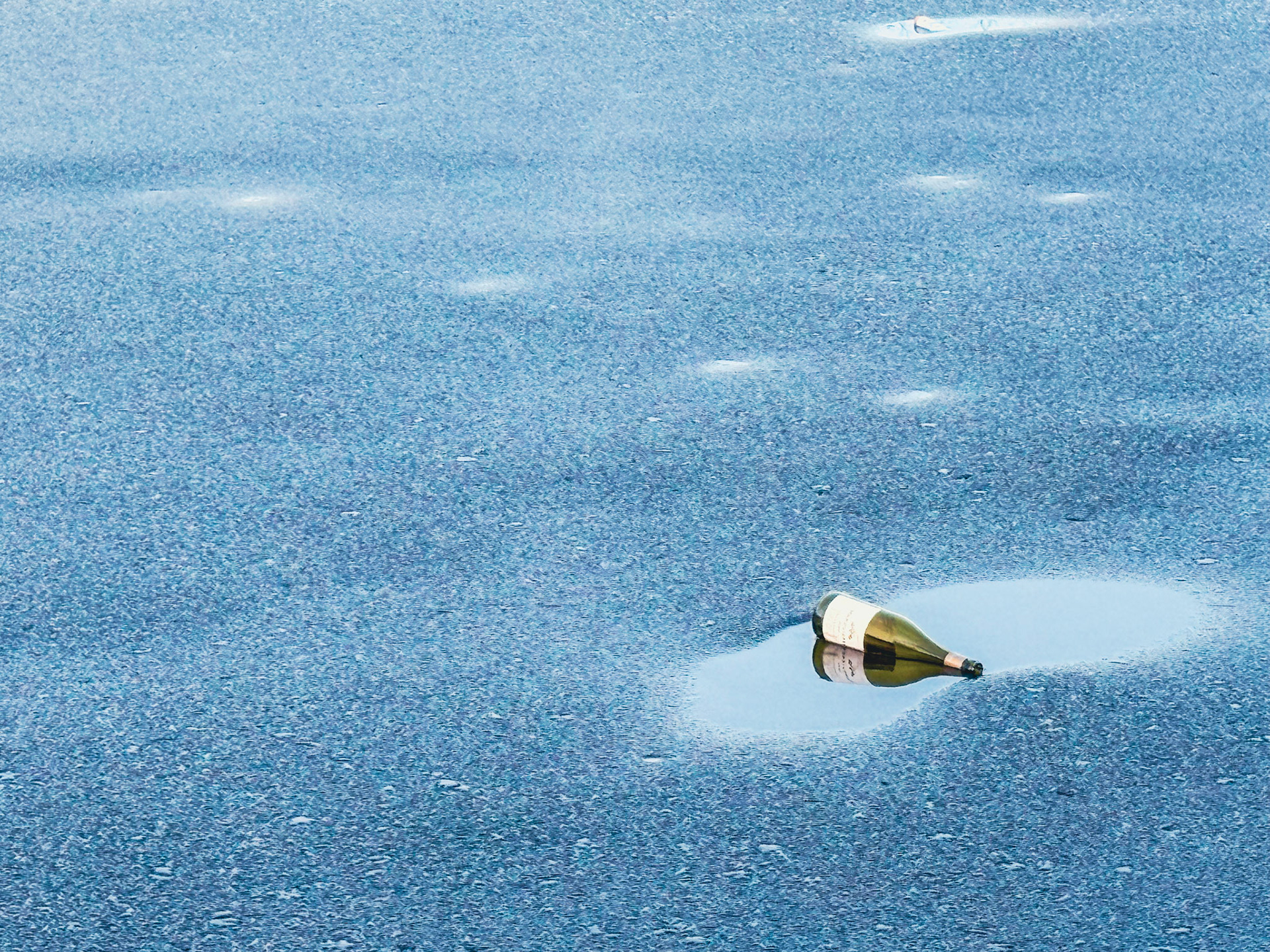 bottle in lake