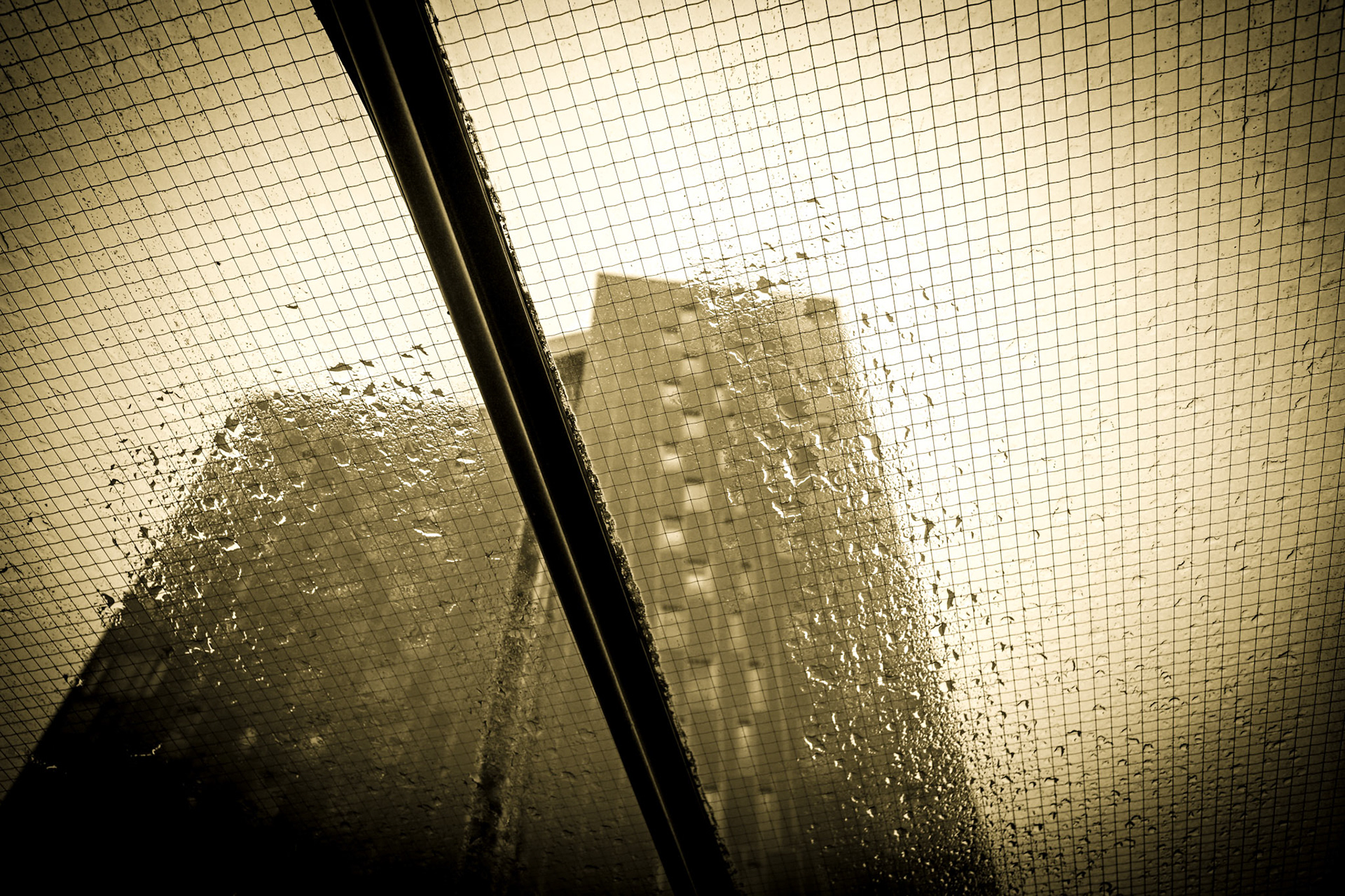 roof (hamburg, germany)