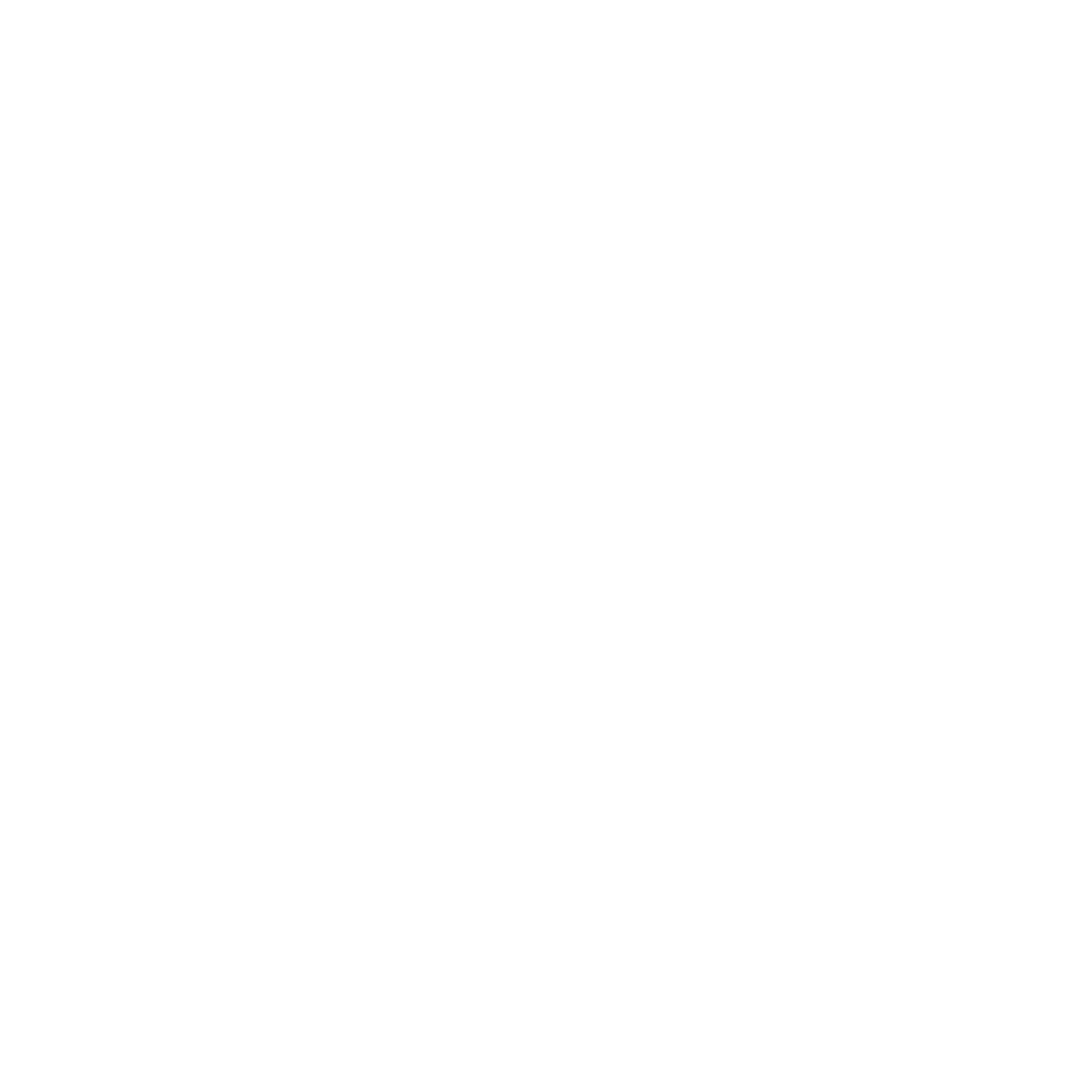 Ninety-nine media