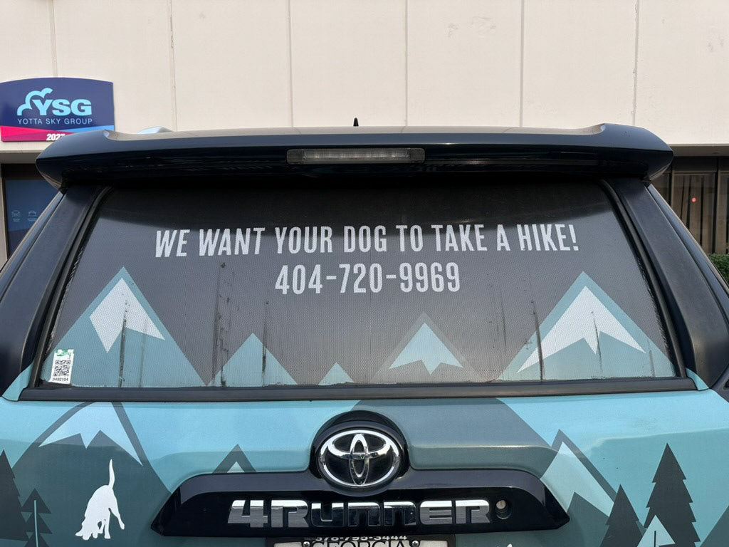 Before: Rear Window Perf