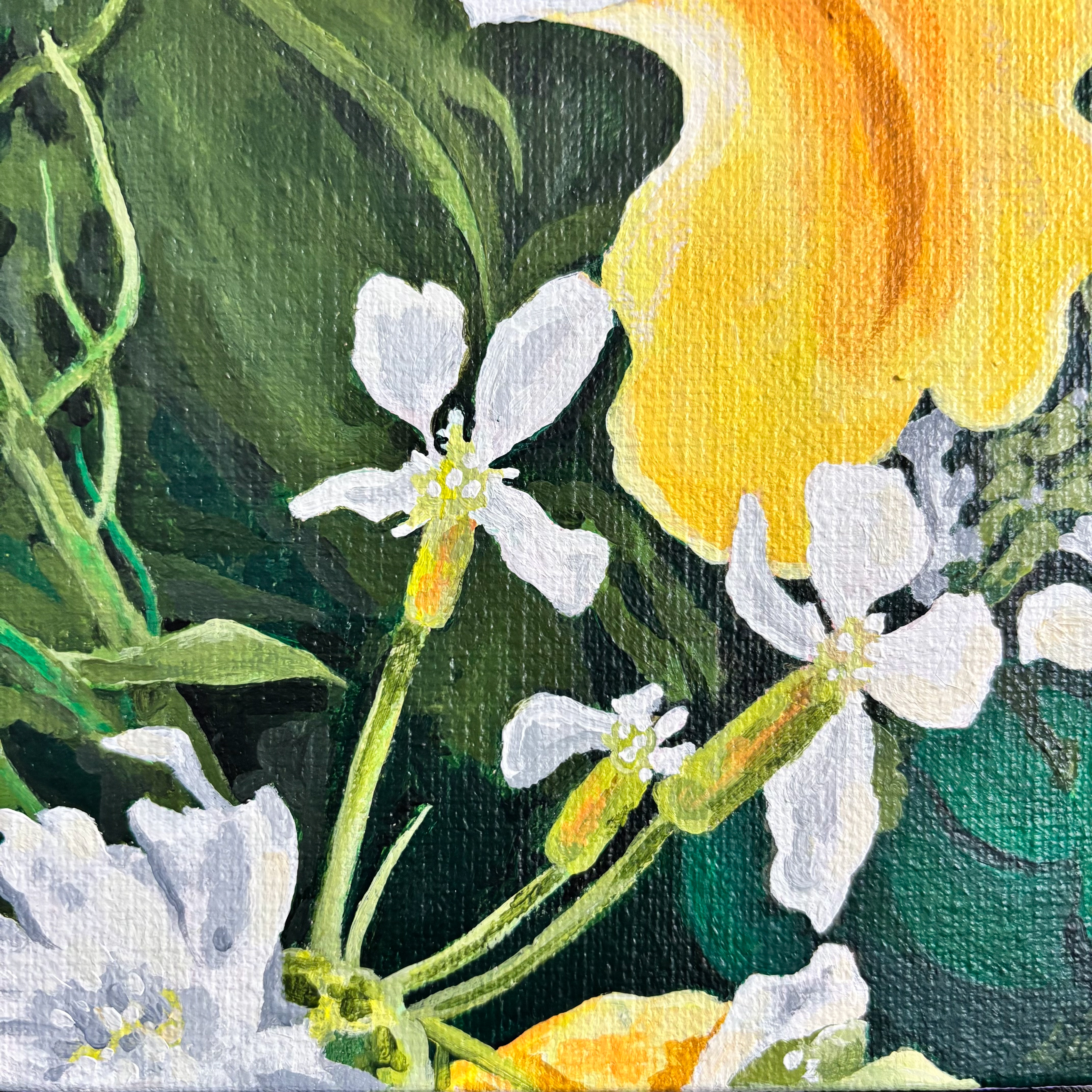 Saturday Morning, Closeup