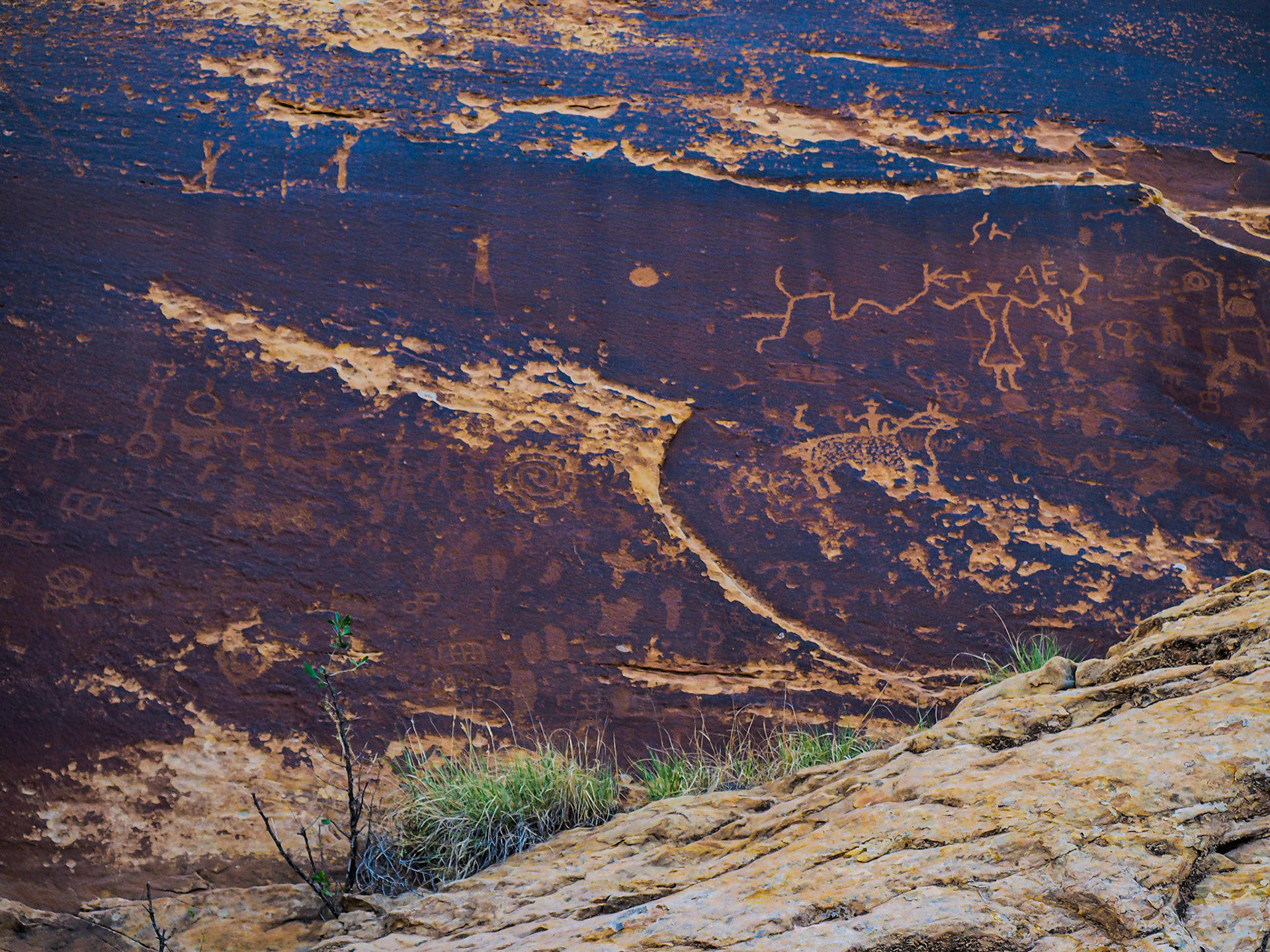 Petroglyphs near San Juan River, Bluff UT