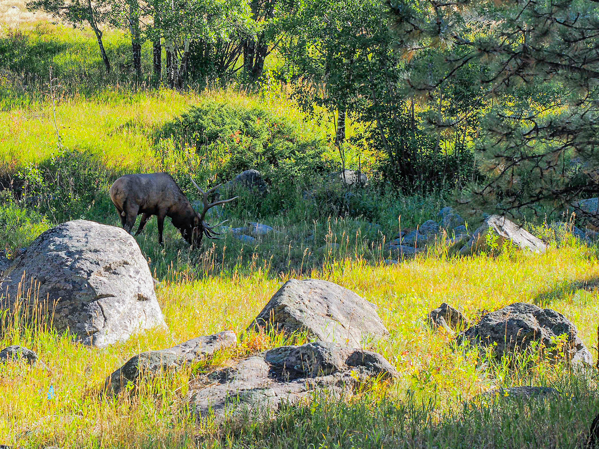 Rocky Mountain National Park, CO