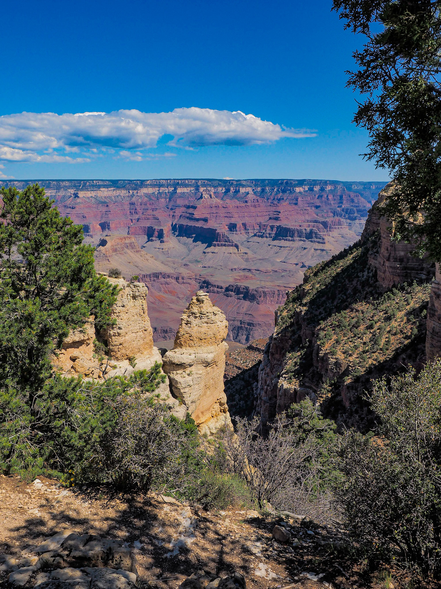 Grand Canyon, AZ - South Rim