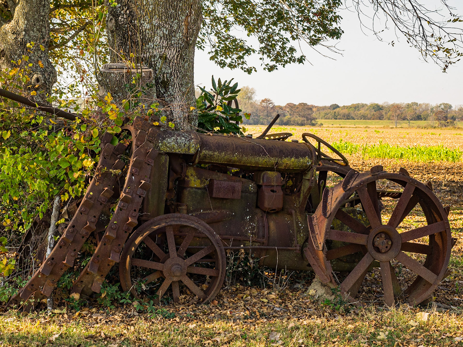 Delta farmland, Hwy 1