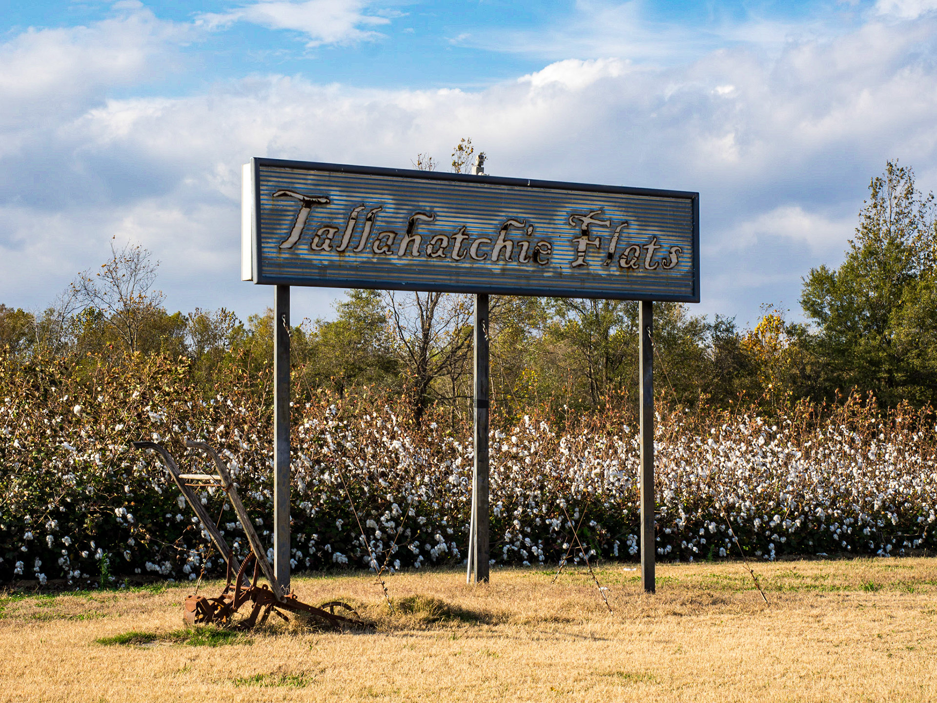 Talahatchie Flats, near Greenville, MS