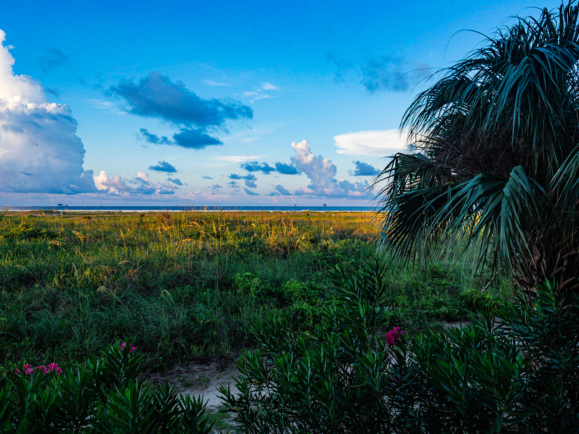 Panama City - Seaside - Dauphin Island