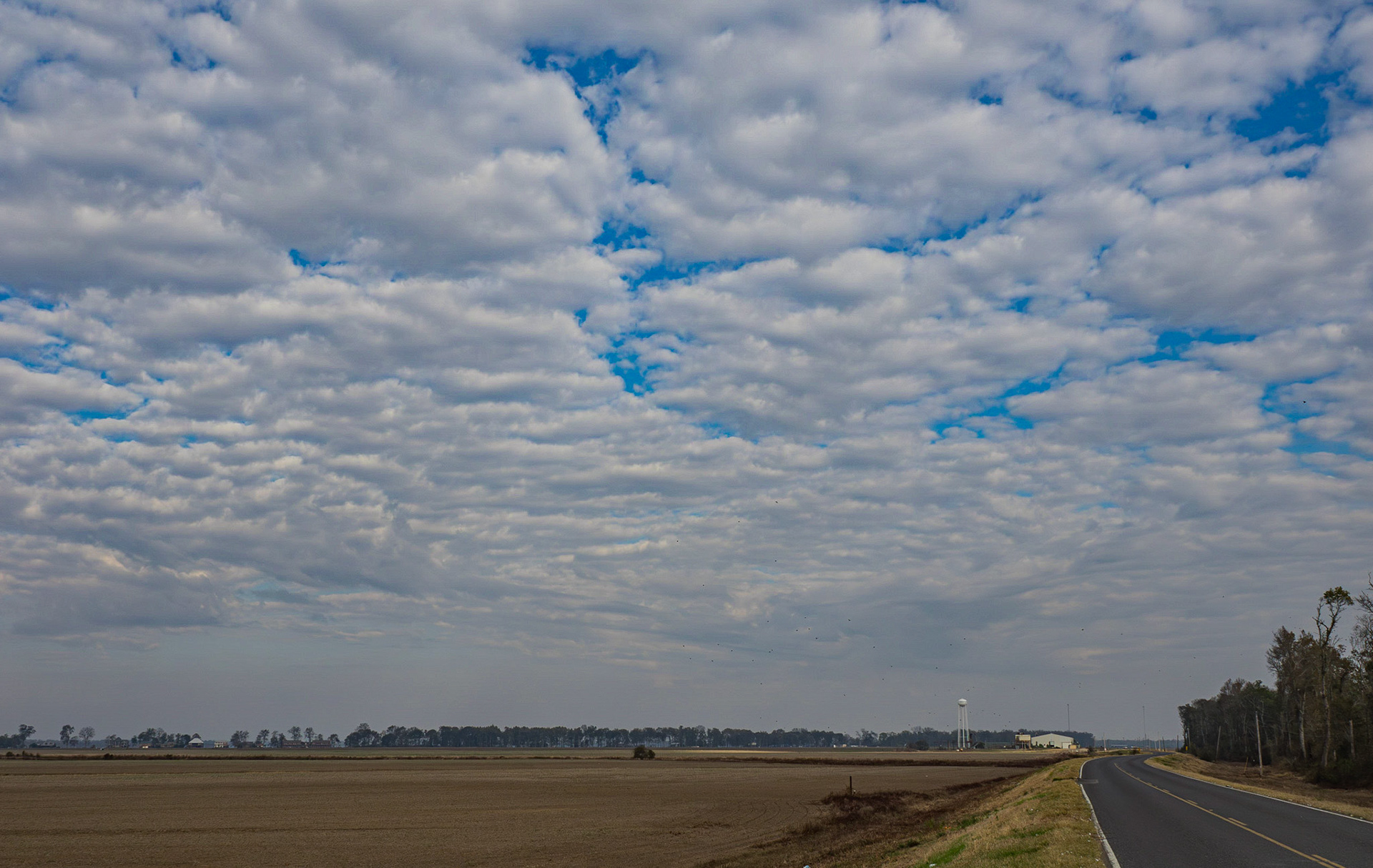Delta farmland near Eagle Bend, MS