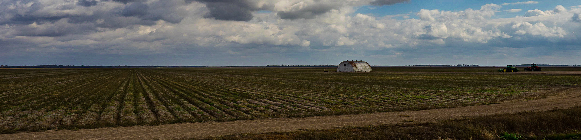 Delta farmland