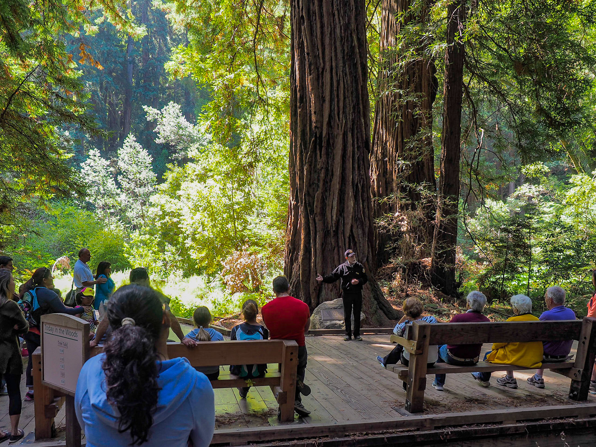 Muir Woods National Monument, CA