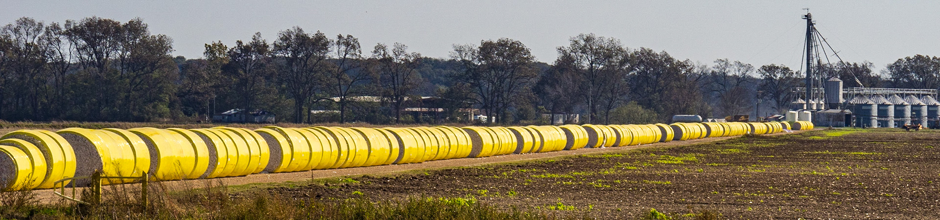 Delta farmland, Hwy 1