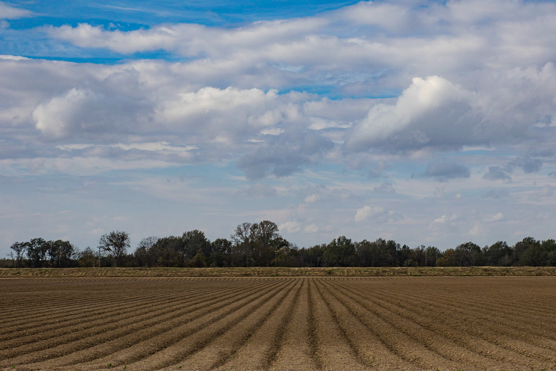 Delta farmland