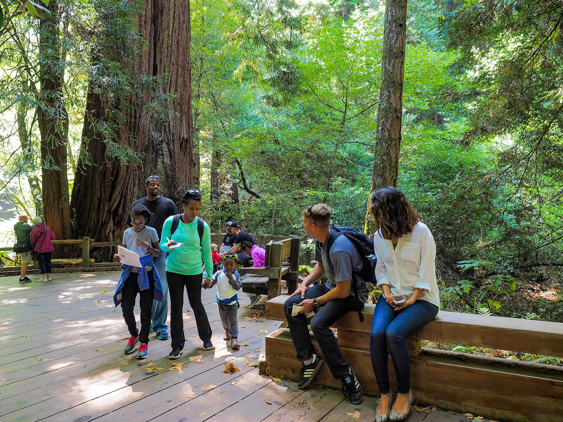 Muir Woods National Monument, CA