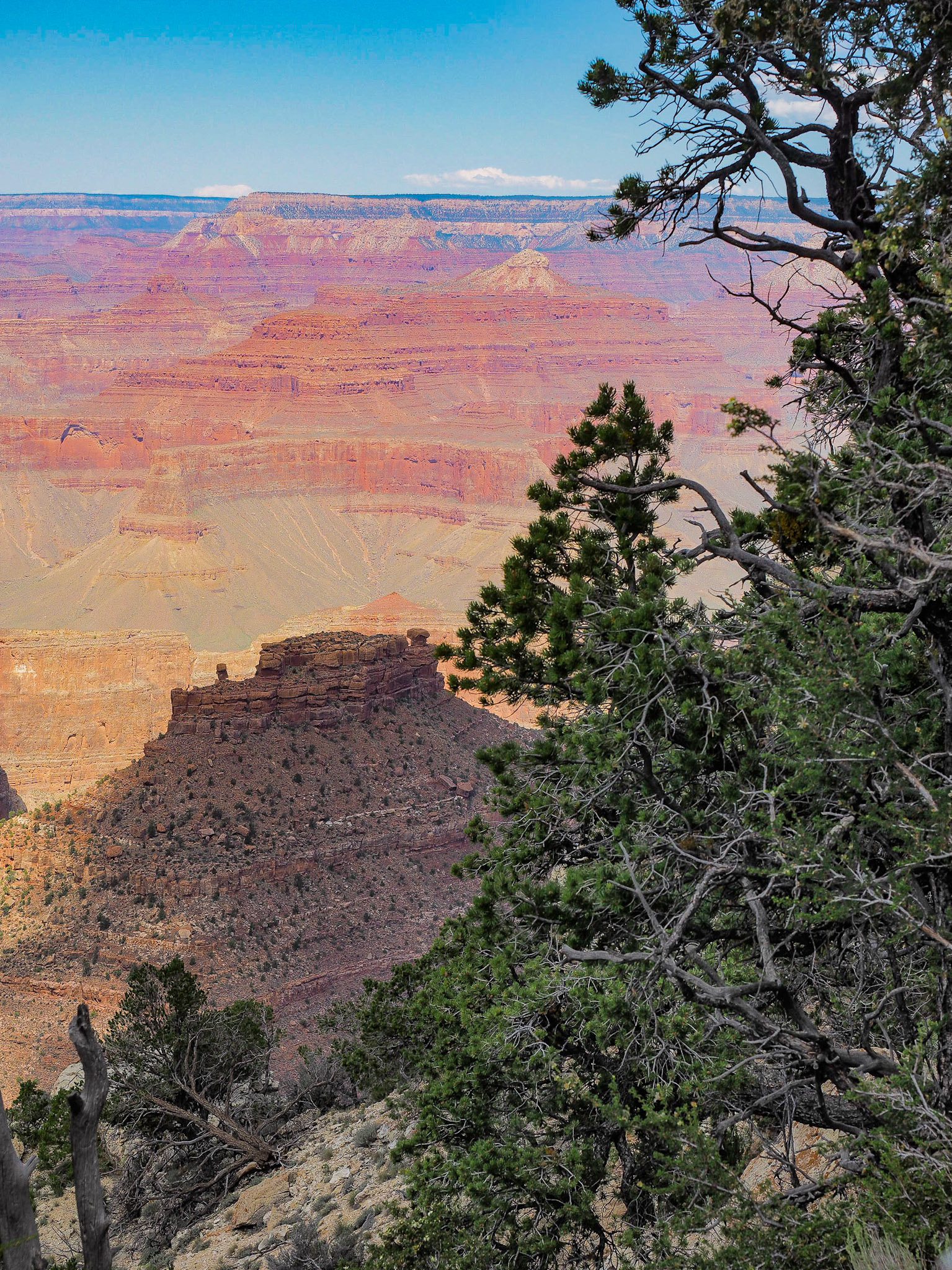 Grand Canyon, AZ - South Rim
