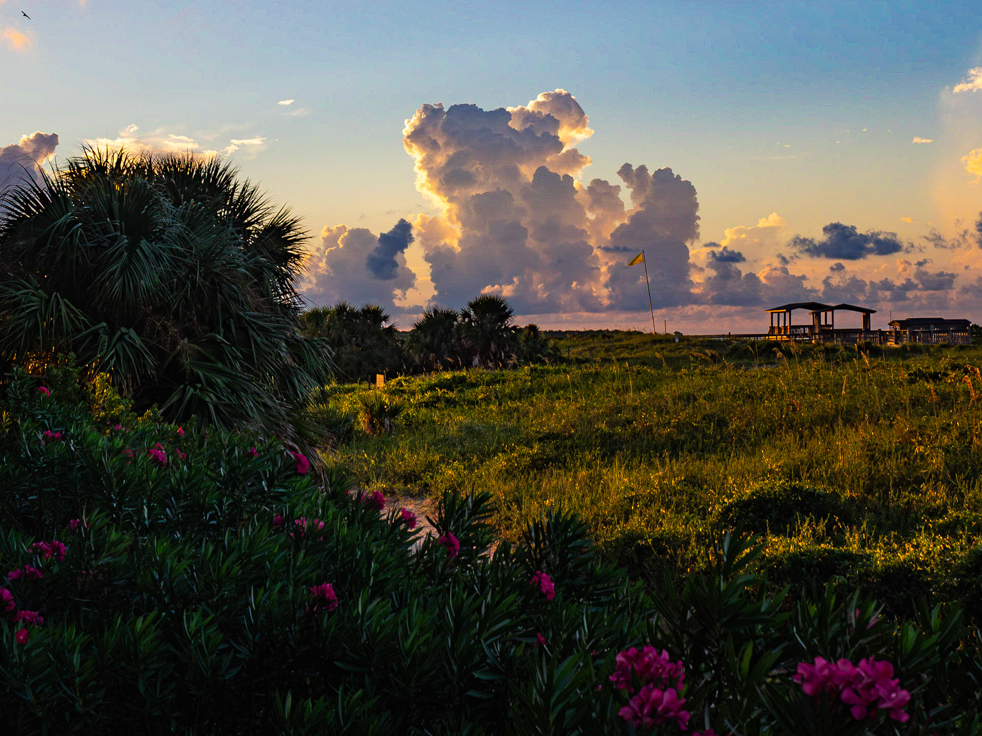 Panama City - Seaside - Dauphin Island
