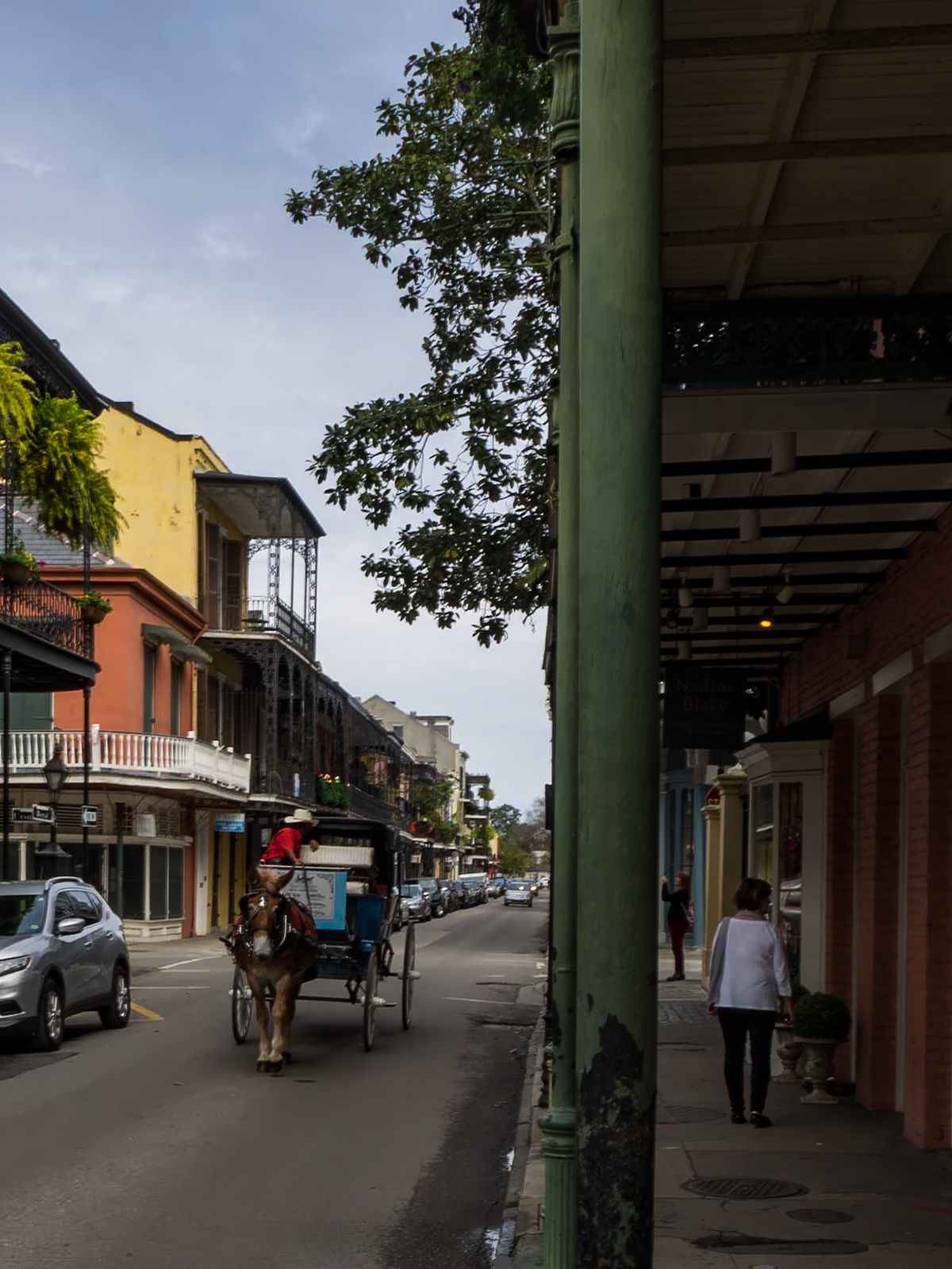 NOLA Street Scenes