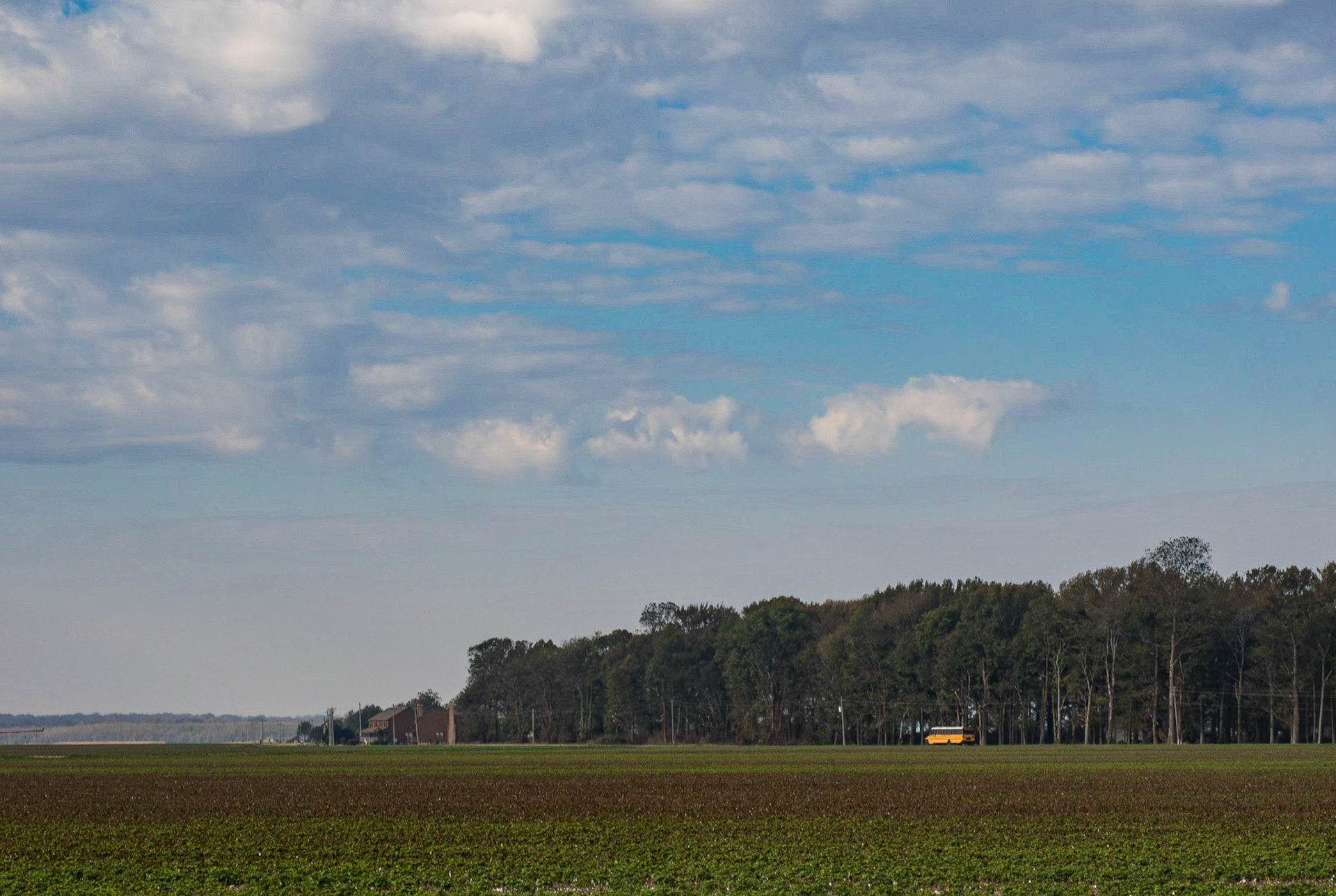 Delta farmland near Eagle Bend, MS