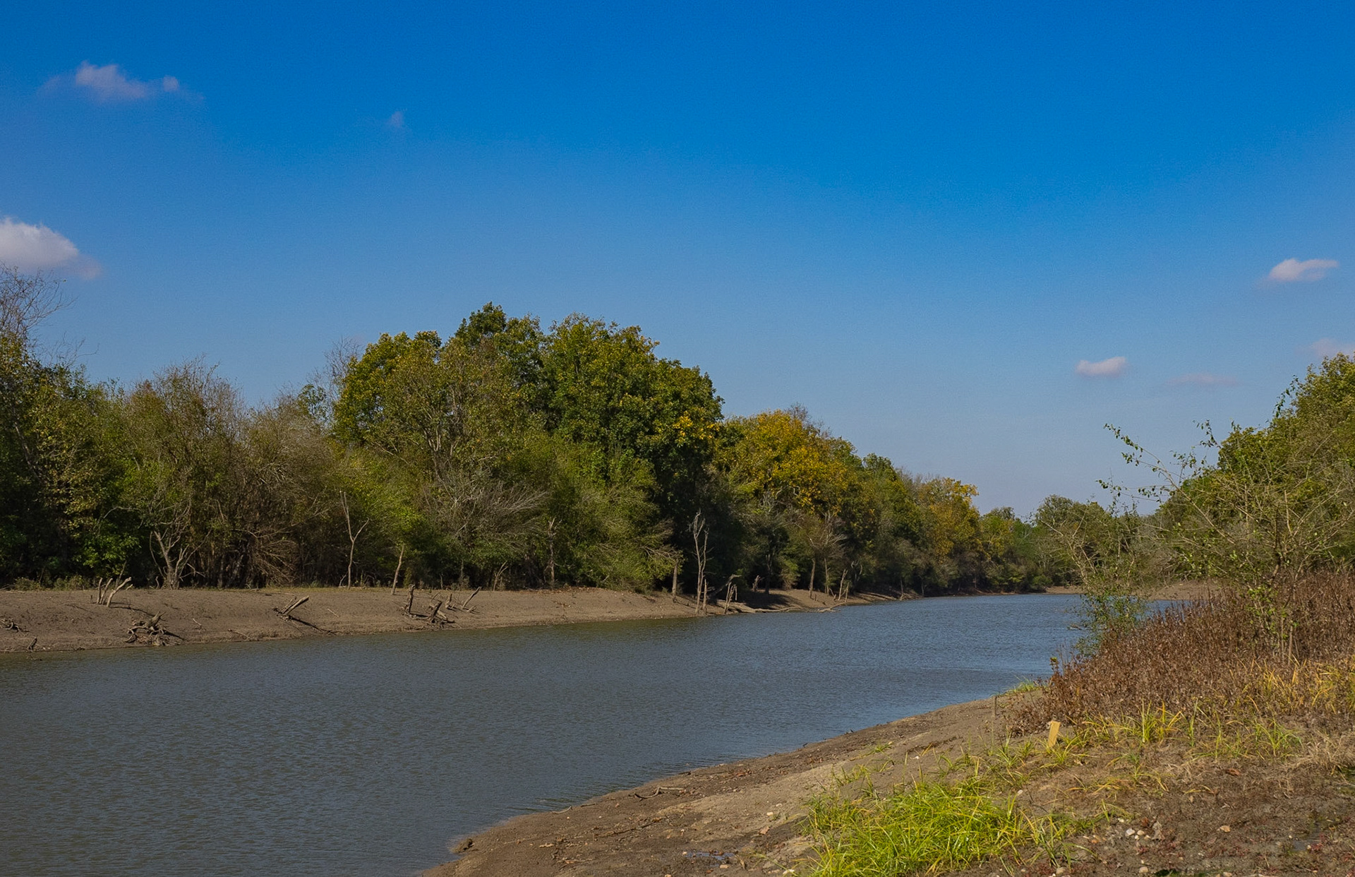 Sunflower River in Panther Burn Swamp