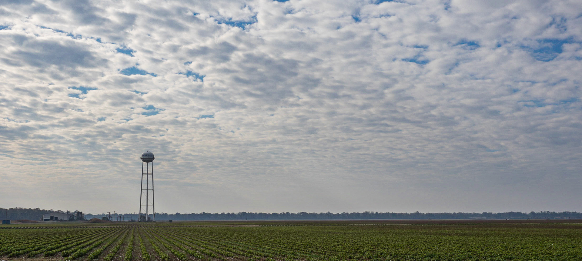 Delta farmland near Eagle Bend, MS