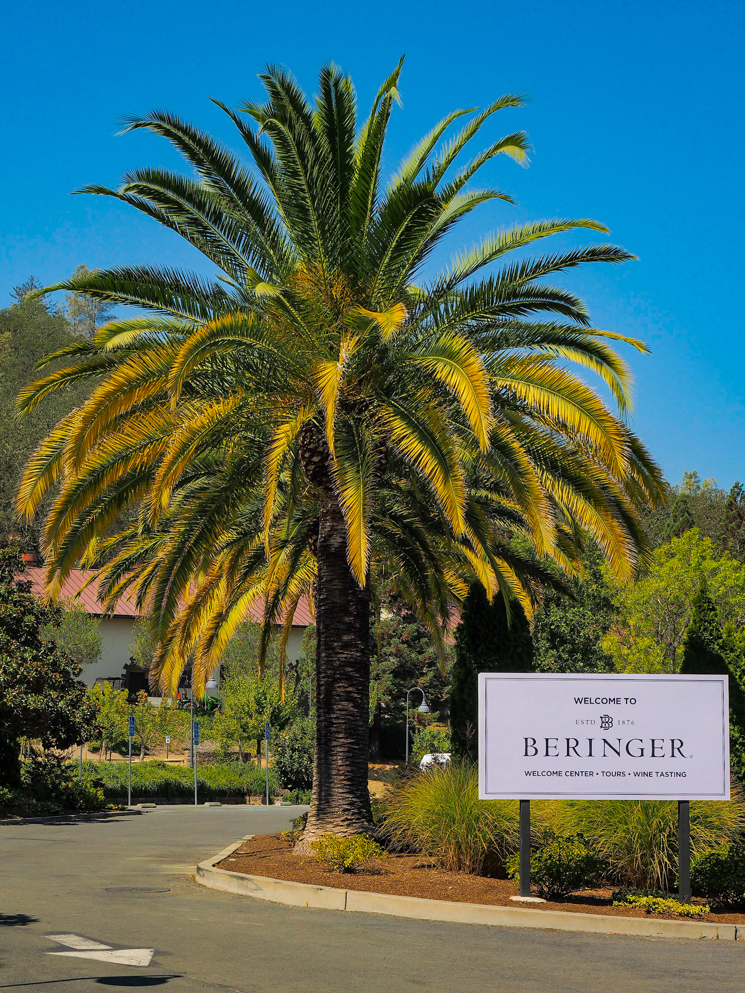 Beringer Winery - St. Helena, CA